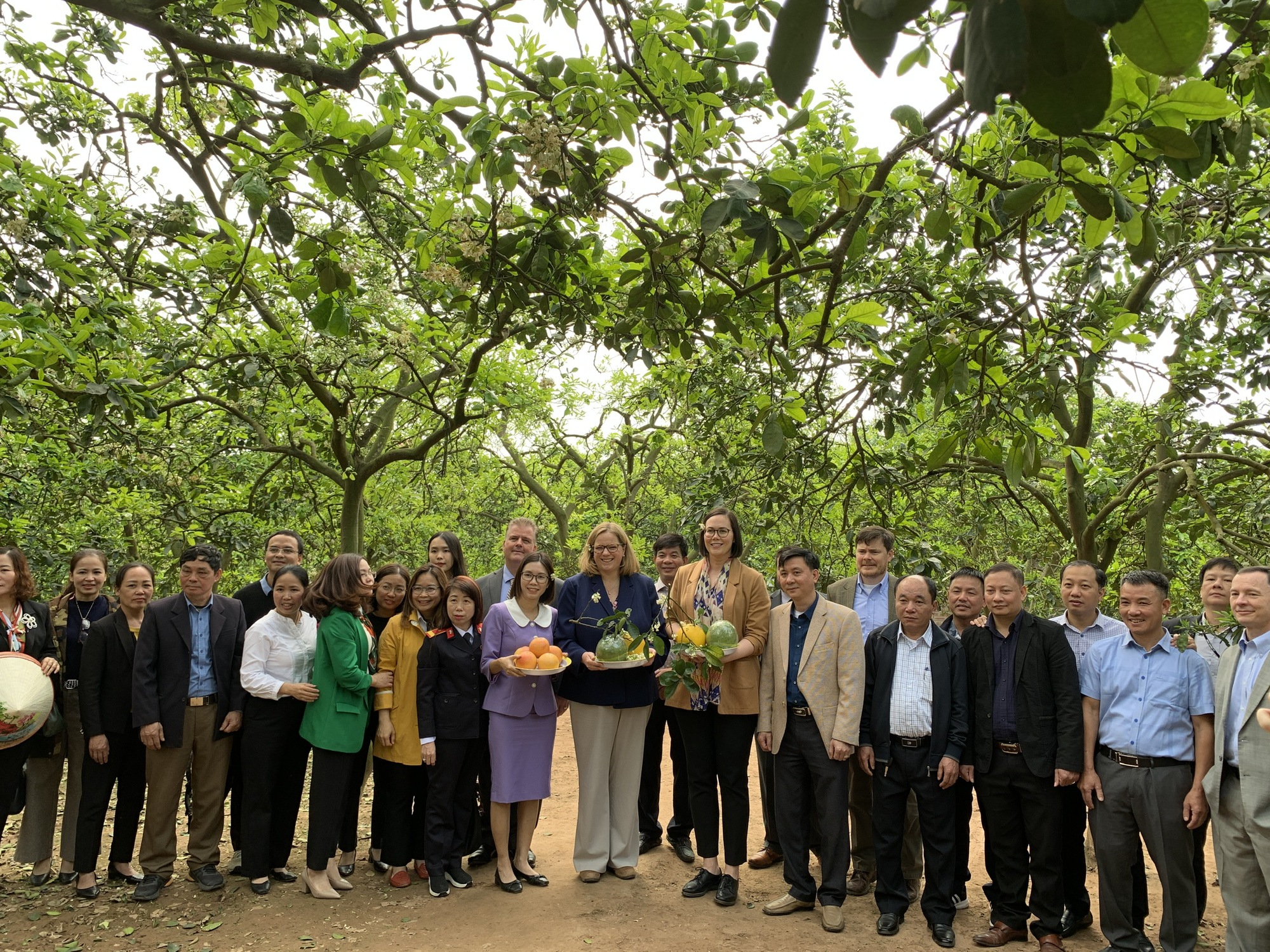 Hai Thứ trưởng Nông nghiệp Mỹ thăm vườn bưởi Diễn của nông dân Hà Nội, khen bưởi ngon xuất sắc - Ảnh 6.