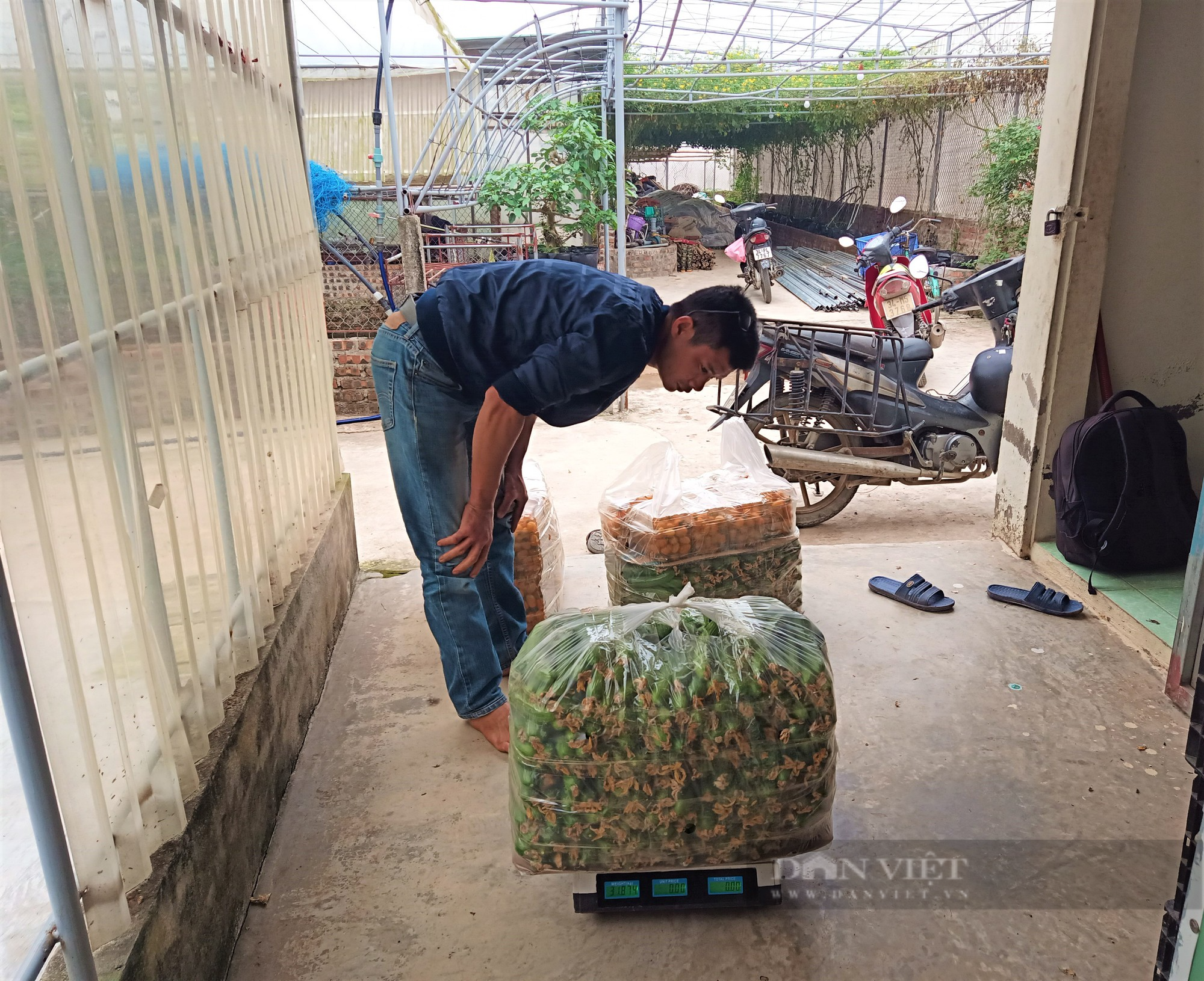 Bỏ phố về làng, anh nông dân ở Hải Dương khởi nghiệp nông nghiệp &quot;sạch&quot;, quả vặt ăn liền, bán giá cao, thu bộn tiền - Ảnh 3.