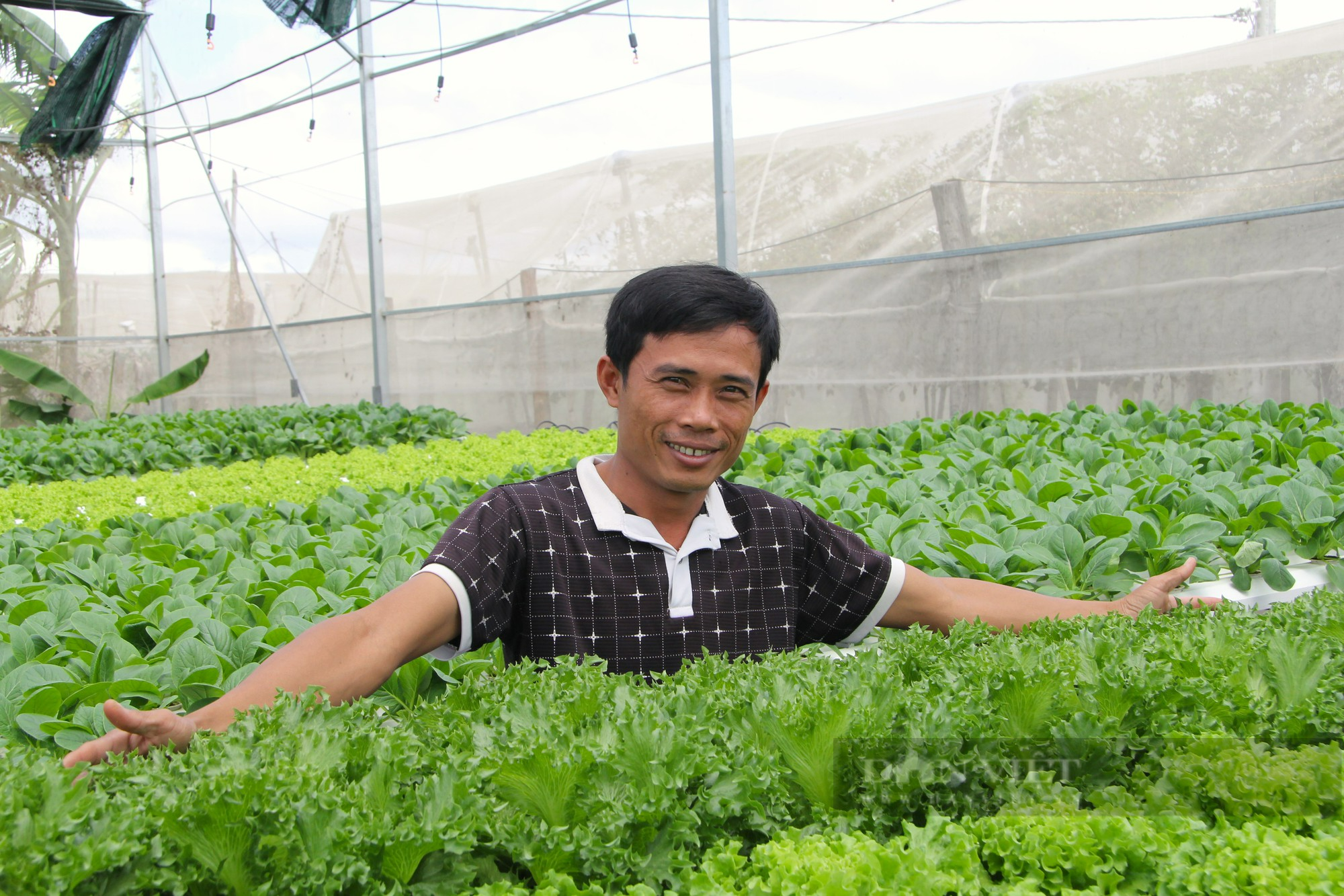 Anh nông dân kiếm chục triệu mỗi tháng từ 500 mét vuông trồng rau sạch ở Ninh Thuận - Ảnh 1.