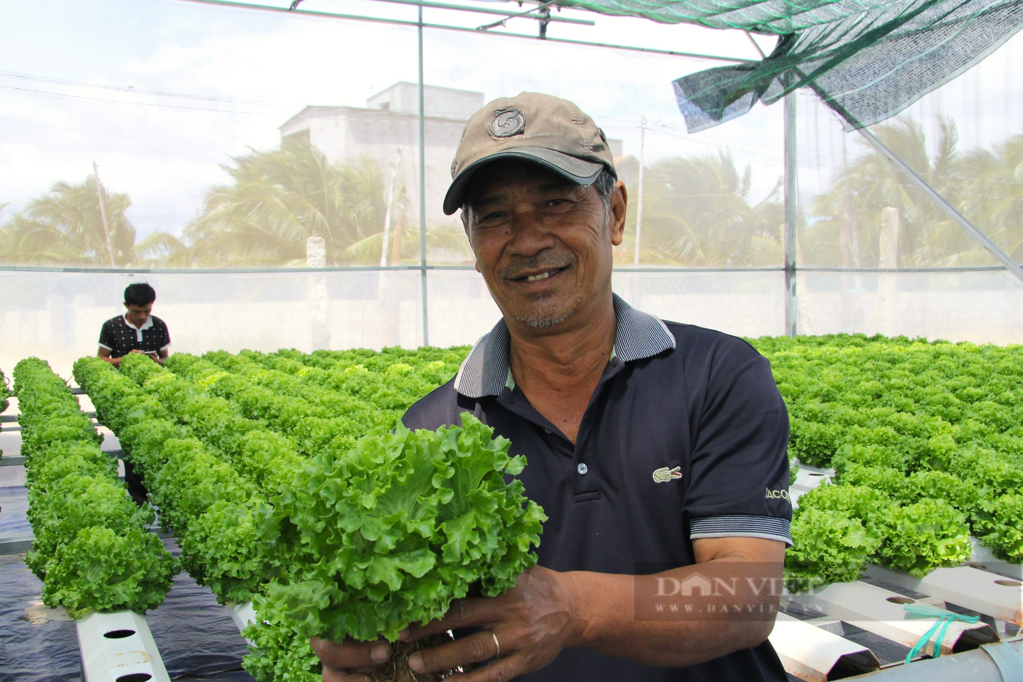 Anh nông dân kiếm chục triệu mỗi tháng từ 500 mét vuông trồng rau sạch ở Ninh Thuận - Ảnh 9.