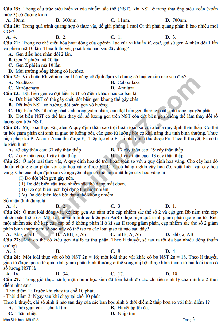 Đề thi thử tốt nghiệp THPT môn Sinh học năm 2023 - Ảnh 4.
