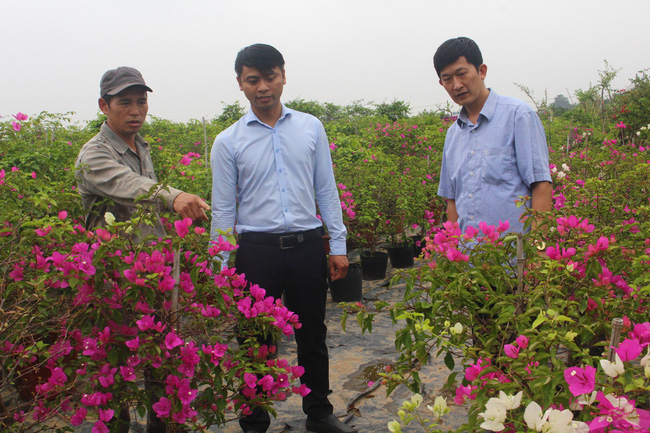 5 huyện của Hà Nội &quot;chạy đua&quot; lên quận, xã lên phường, huyện nào sẽ về đích trước? - Ảnh 2.