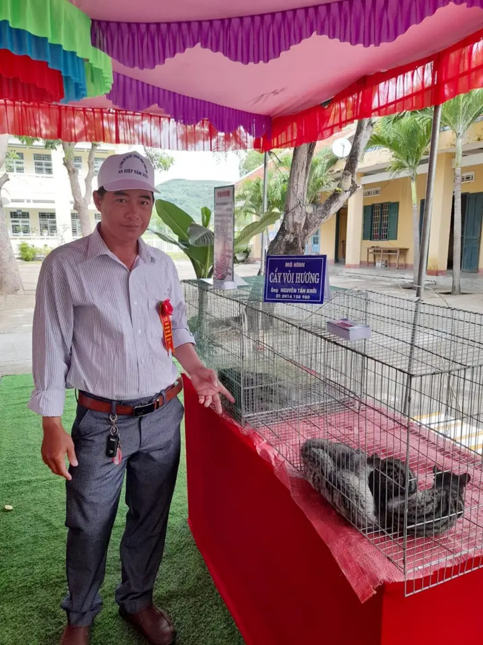 Nuôi cầy vòi, chăm nhàn, bán giá tốt, một anh nông dân Phú Yên lãi 200 triệu/năm - Ảnh 4.