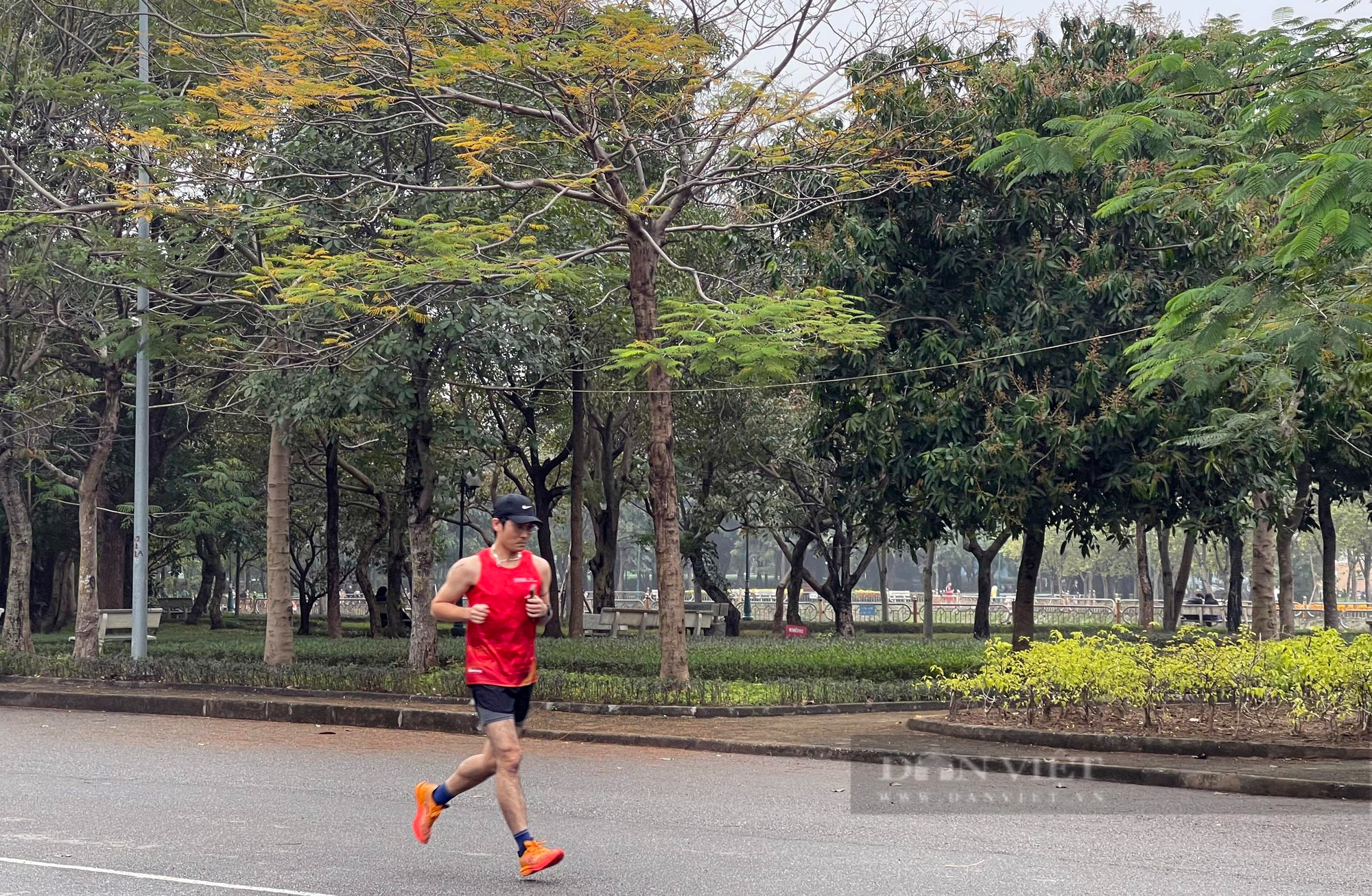 Cận cảnh công viên lớn ở Hà Nội được đề nghị tháo rào sắt phục vụ dân miễn phí - Ảnh 10.