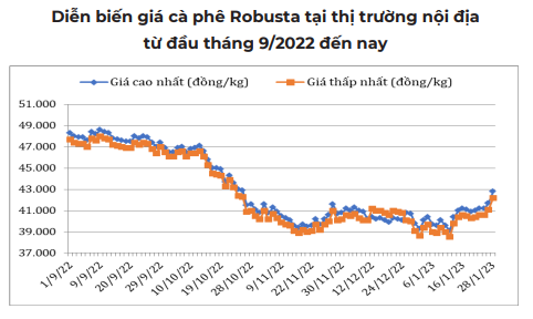 Thị trường cà phê biến động không đồng nhất, giá giảm mạnh cuối tuần - Ảnh 4.