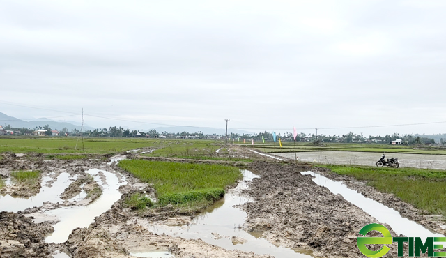 Quảng Ngãi: Cưỡng chế những trường hợp chây ì bàn giao đất GPMB dự án cao tốc Bắc – Nam   - Ảnh 4.