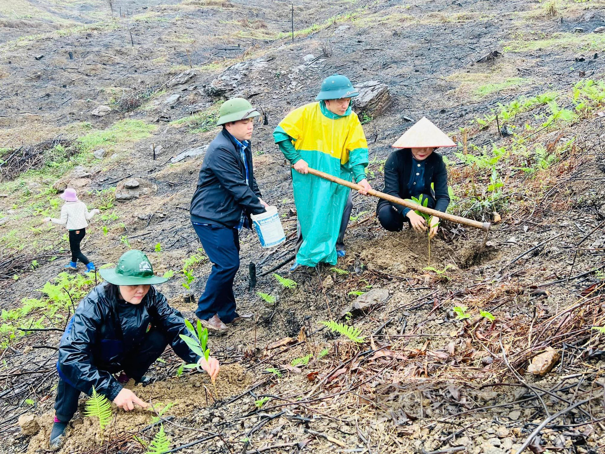 Hội Nông dân tỉnh Tuyên Quang phát động thi đua và Tết trồng cây năm 2023 - Ảnh 2.