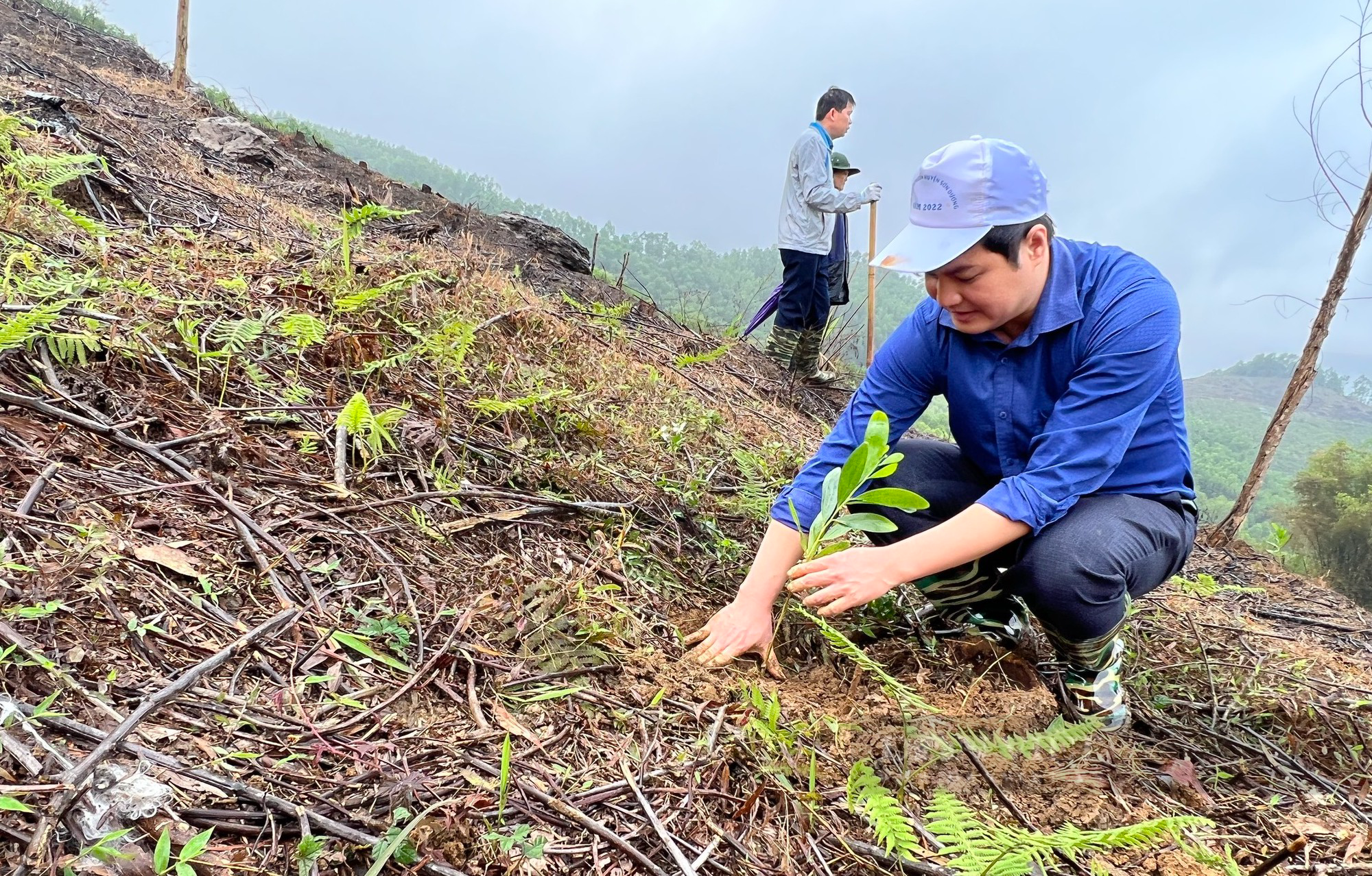 Hội Nông dân tỉnh Tuyên Quang phát động thi đua và Tết trồng cây năm 2023 - Ảnh 4.