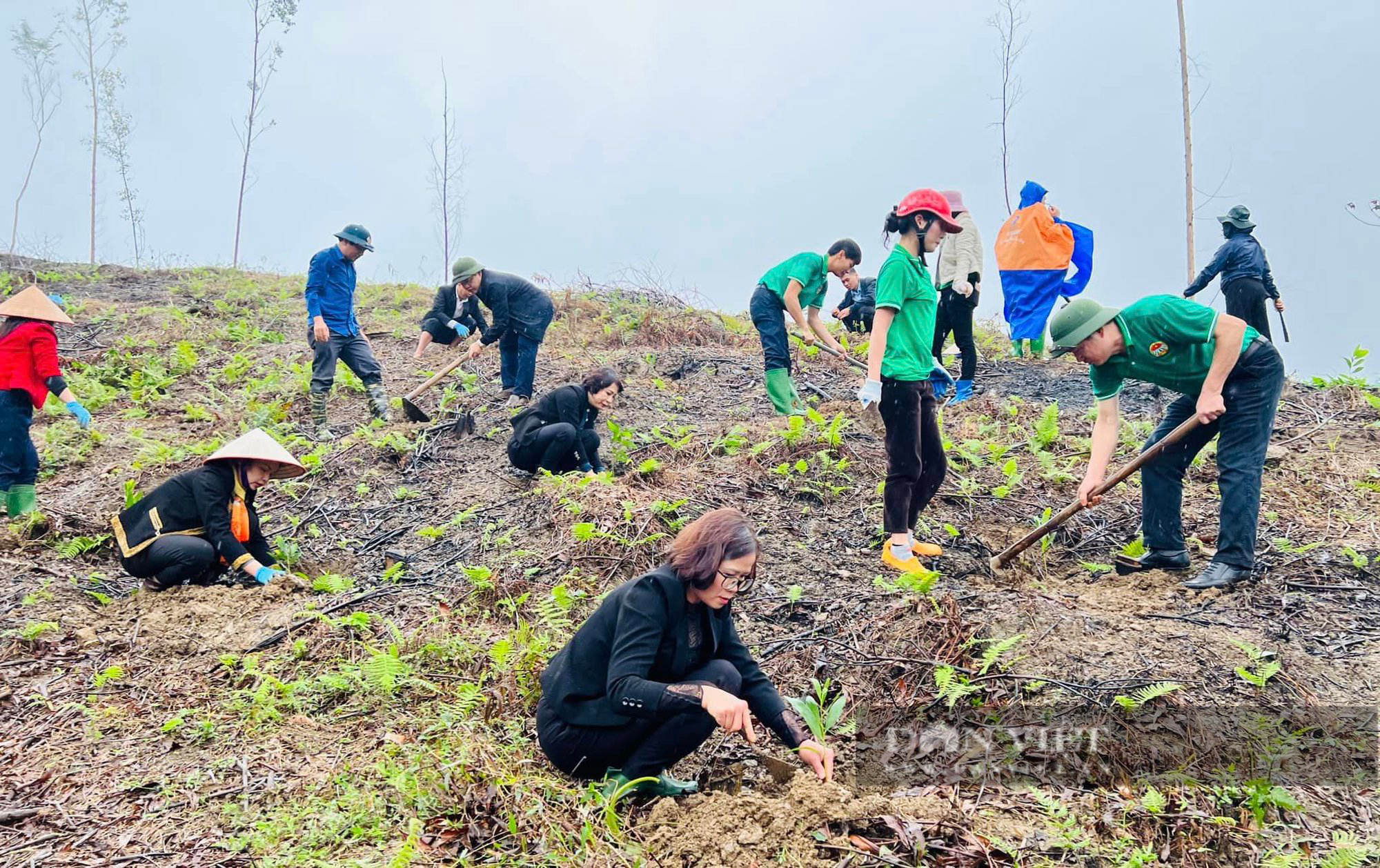 Hội Nông dân tỉnh Tuyên Quang phát động thi đua và Tết trồng cây năm 2023 - Ảnh 1.