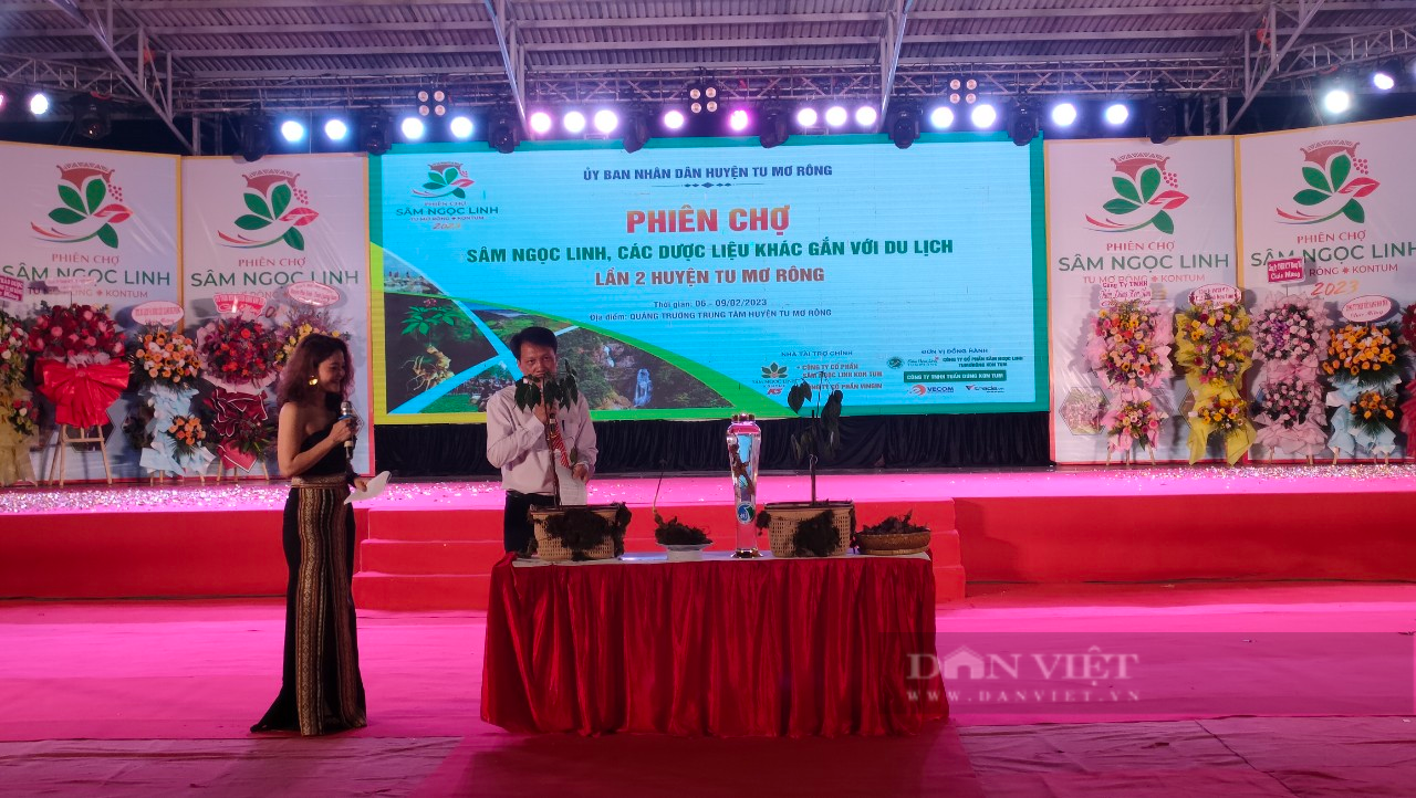 Củ sâm Ngọc Linh hơn 20 năm tuổi Kon Tum bán với giá 250 triệu đồng - Ảnh 2.