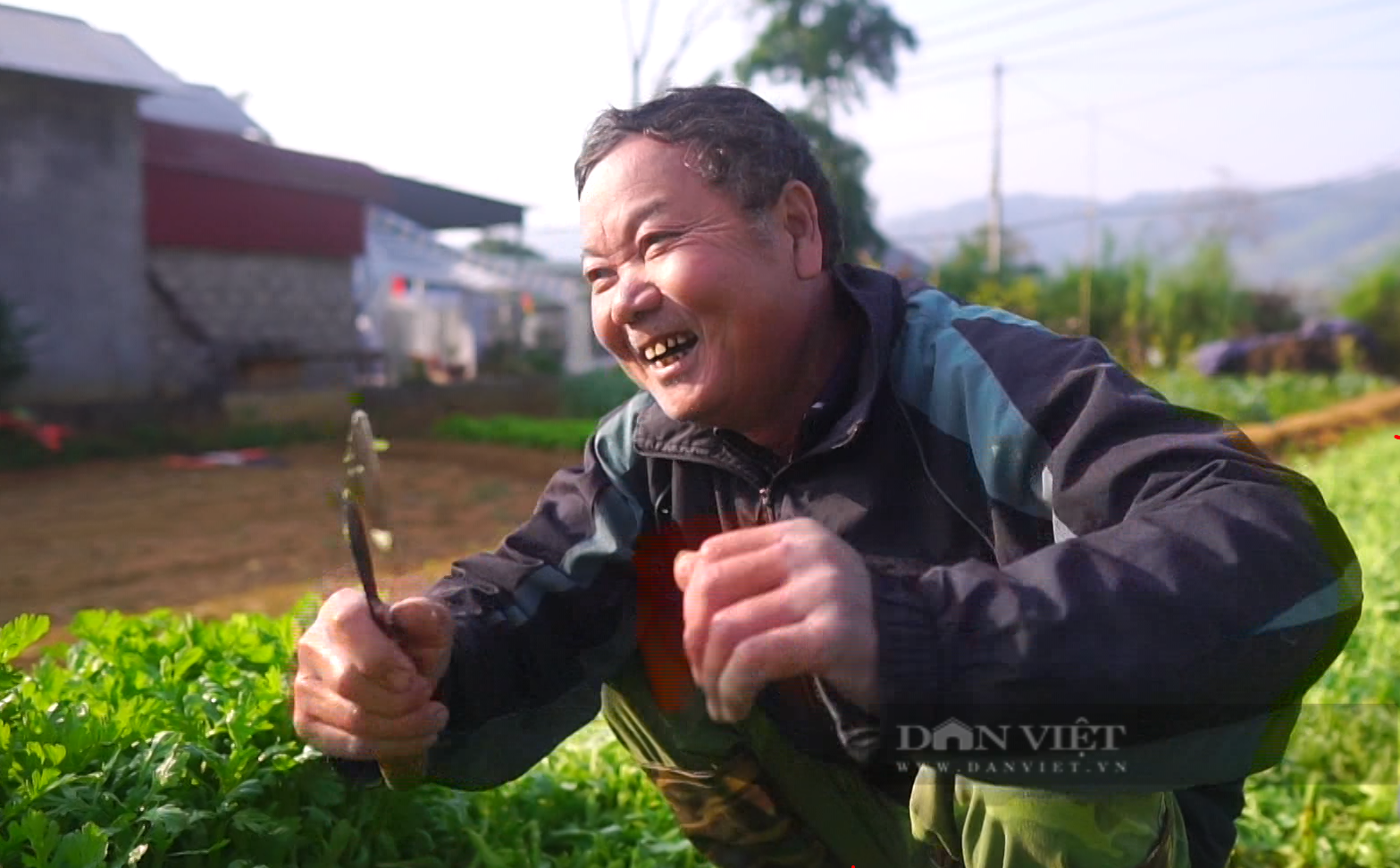 Giá rau tăng sau tết cổ truyền, nông dân ở Lai Châu phấn khởi - Ảnh 3.