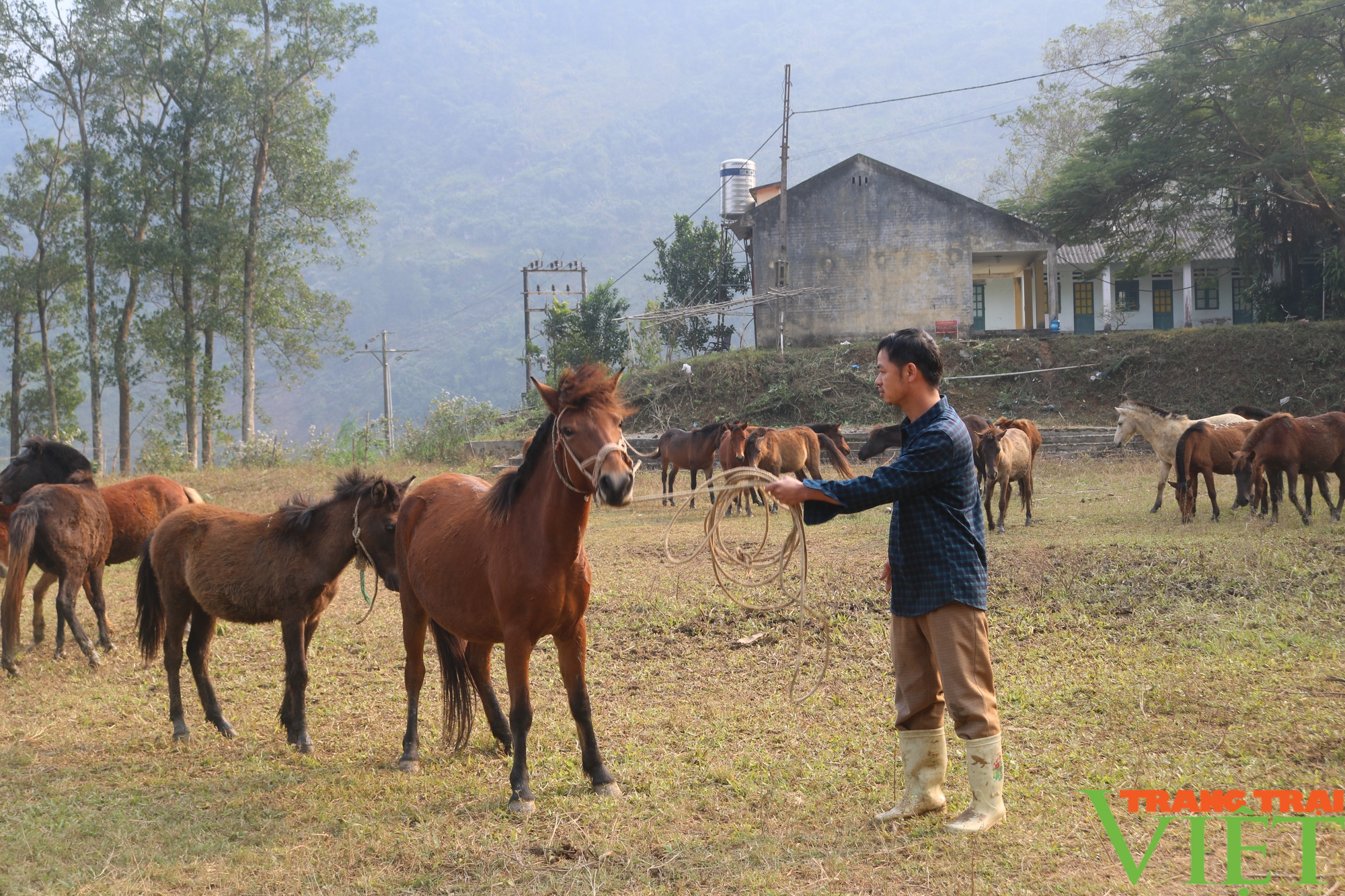 Nông dân vùng cao Lào Cai nhân rộng các mô hình kinh tế - Ảnh 1.