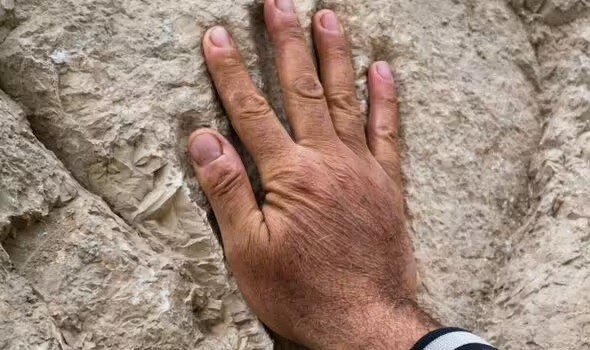 Dấu tay kỳ lạ ở Jerusalem, nguồn gốc của nó vẫn còn bí ẩn - Ảnh 3.