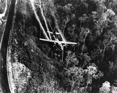 Kinh hoàng cảnh tượng Mỹ rải “thuốc diệt cỏ” ngập chiến trường Việt Nam - Ảnh 6.