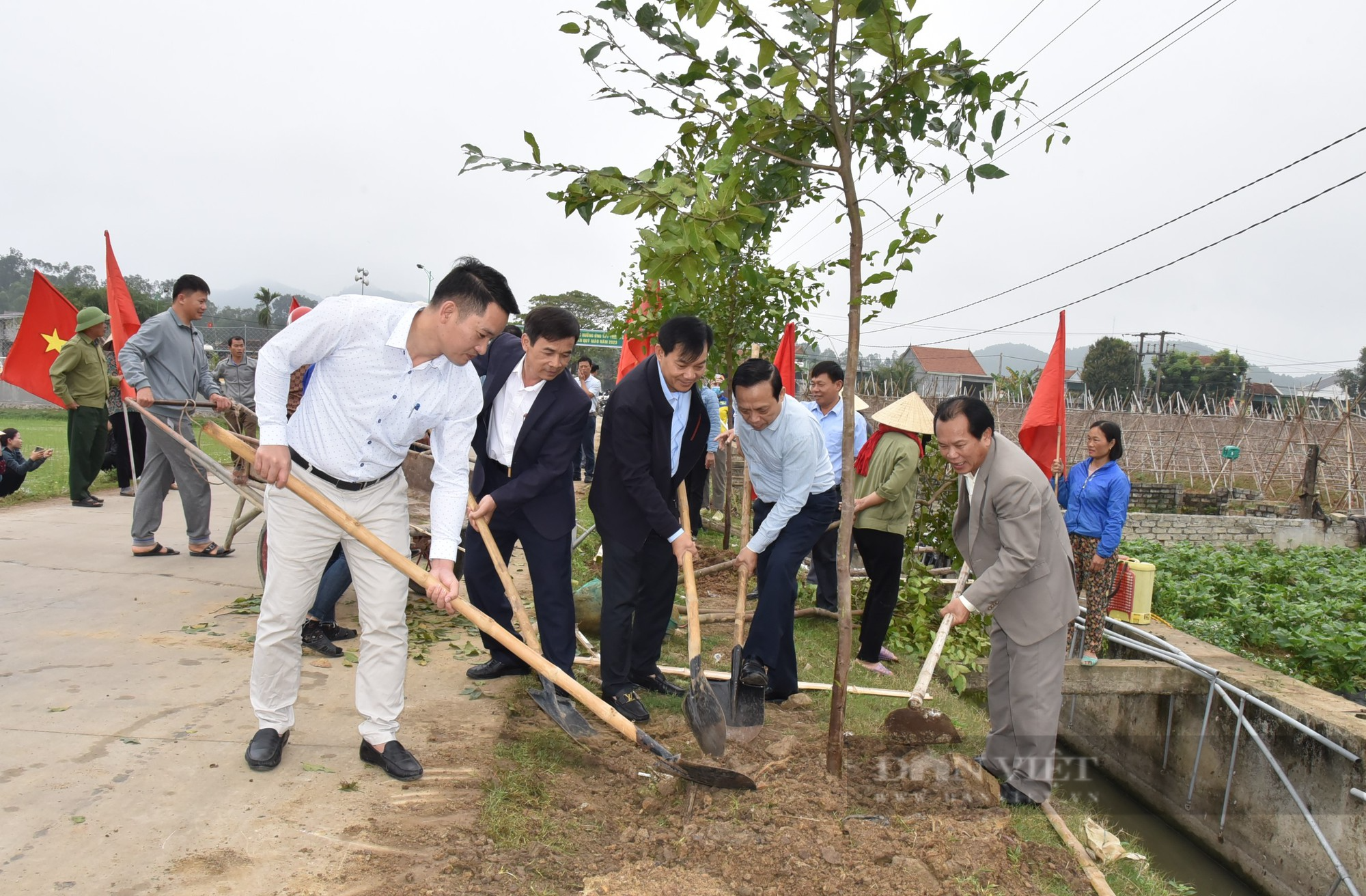 Hội Nông dân tỉnh Nghệ An phát động đợt thi đua đặc biệt, mỗi hội viên trồng ít nhất 1 cây xanh - Ảnh 2.