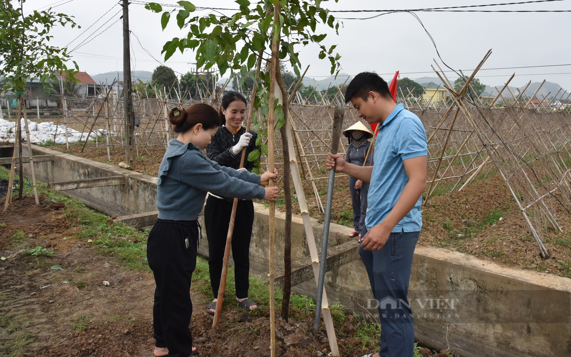 Hội Nông dân tỉnh Nghệ An phát động đợt thi đua đặc biệt, mỗi hội viên trồng ít nhất 1 cây xanh - Ảnh 4.