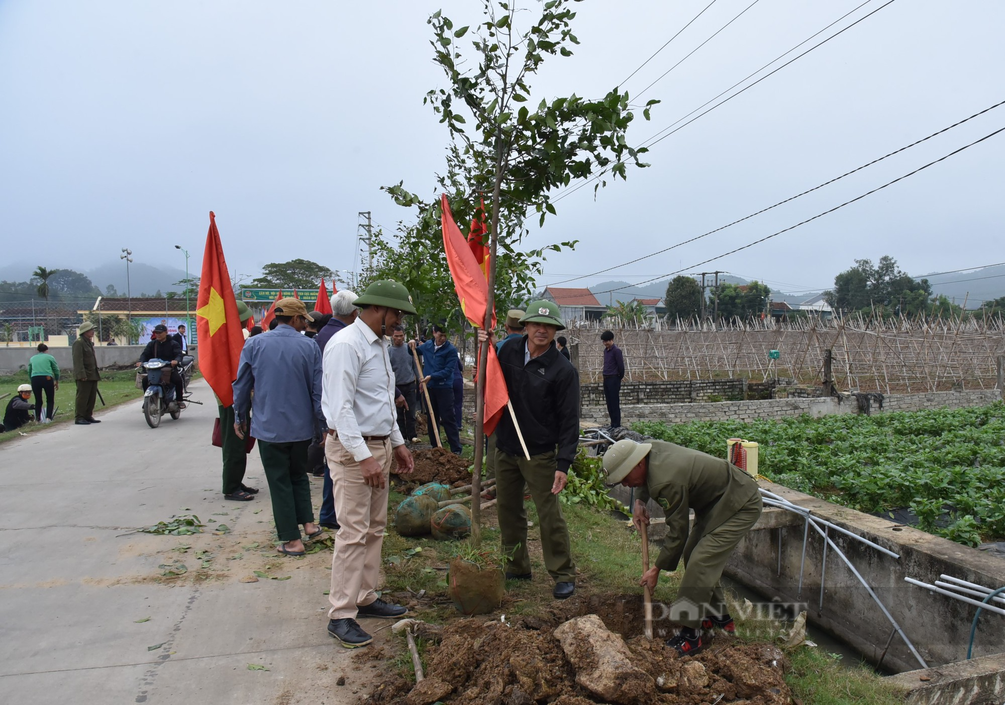 Hội Nông dân tỉnh Nghệ An phát động đợt thi đua đặc biệt, mỗi hội viên trồng ít nhất 1 cây xanh - Ảnh 5.