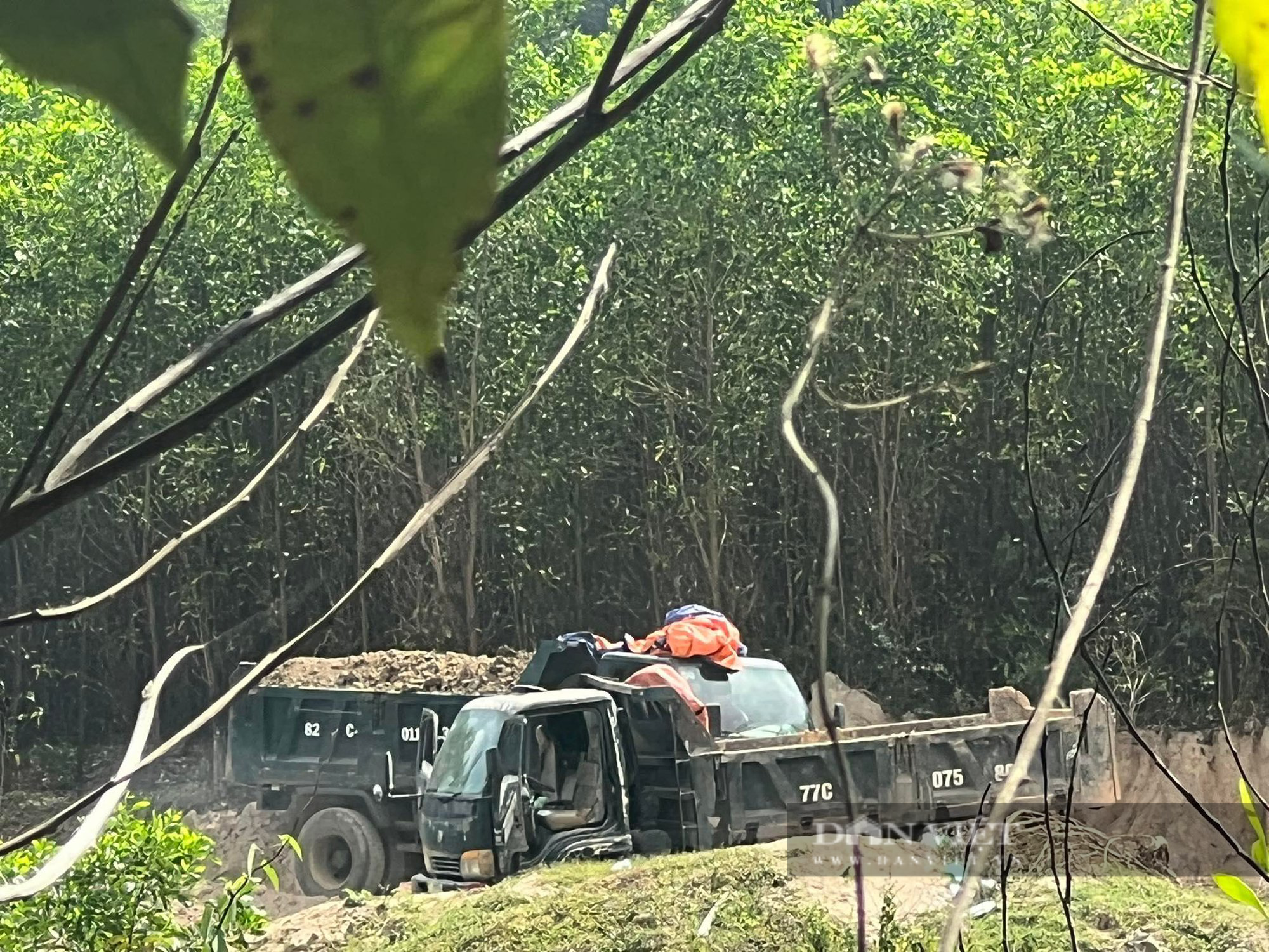 Bình Định: 'Đất lậu' đại náo huyện miền núi Vân Canh, xã nói không biết? - Ảnh 3.