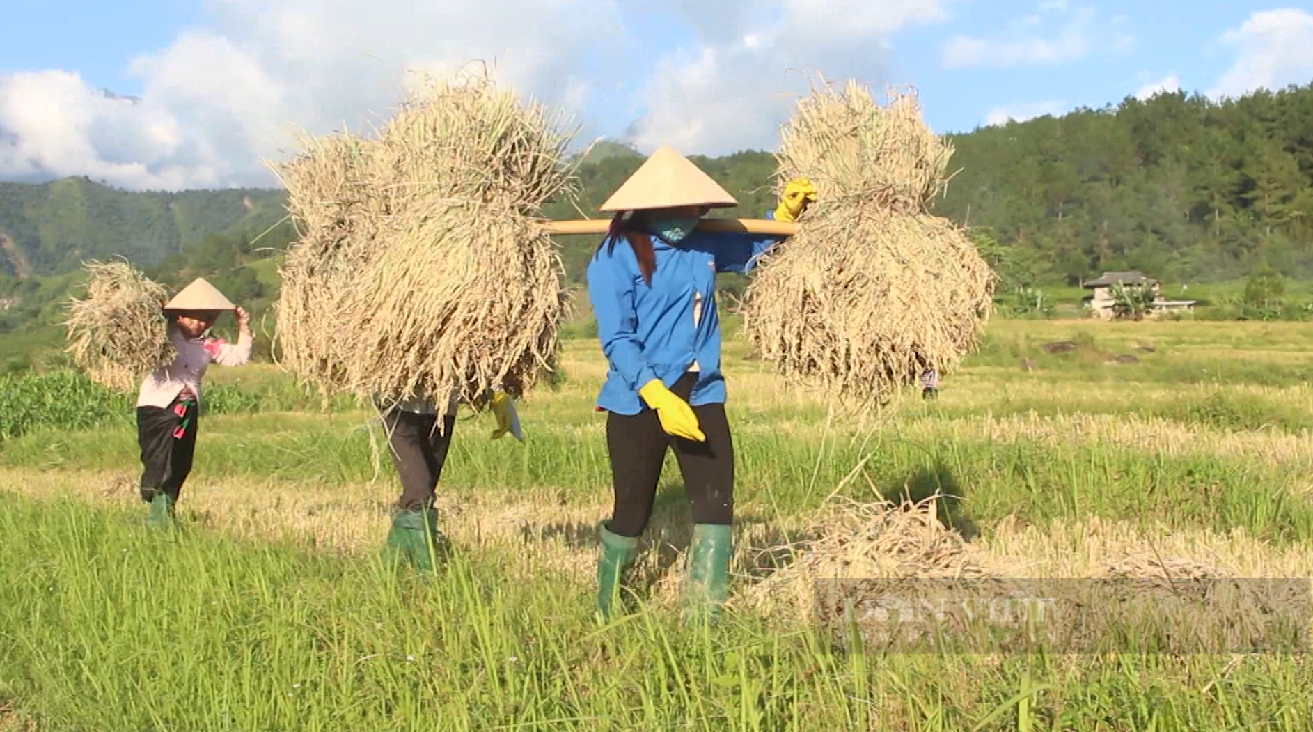 Nguồn lực tạo đà giúp phụ nữ Lai Châu thi đua làm giàu - Ảnh 3.