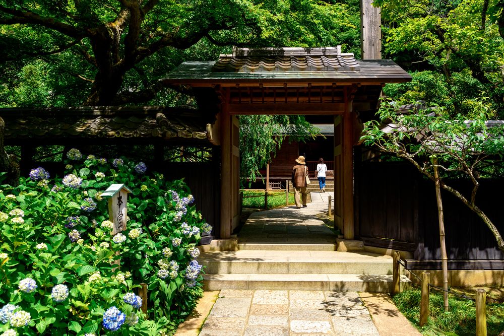 Nhật Bản: Ngôi đền ly dị cứu giúp phụ nữ - Ảnh 1.