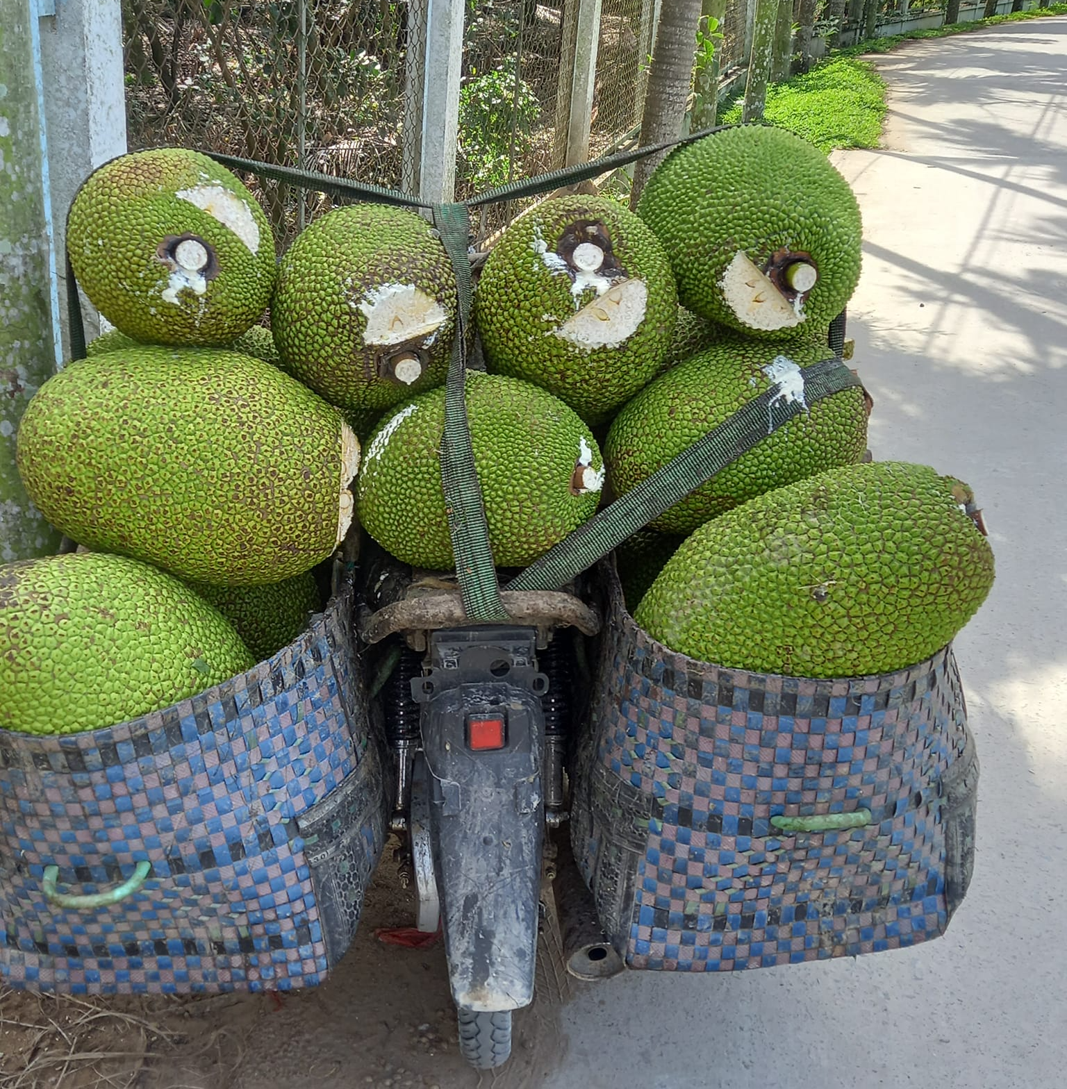 Giá mít Thái hôm nay 9/2: Các vựa đồng loạt đổi tên gọi phân loại mít Thái - Ảnh 1.