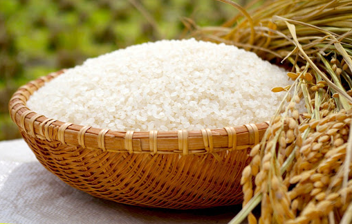 Giá lúa gạo neo cao, doanh nghiệp gom hàng xuất khẩu, thị trường sôi động - Ảnh 2.