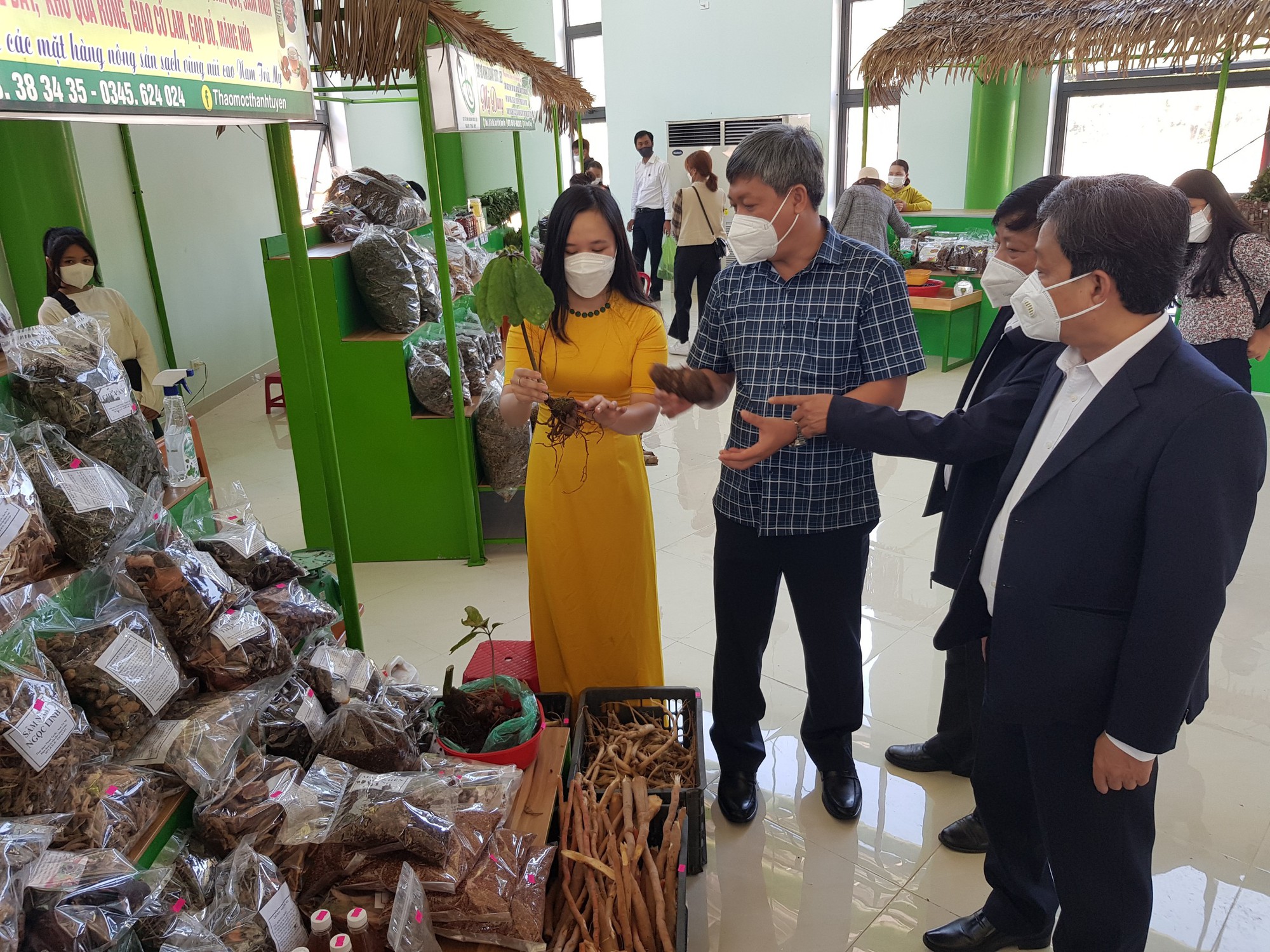 Quảng Nam: Huyện Nam Trà My chú trọng phát triển cây dược liệu, nhất là cây sâm Ngọc Linh - Ảnh 4.