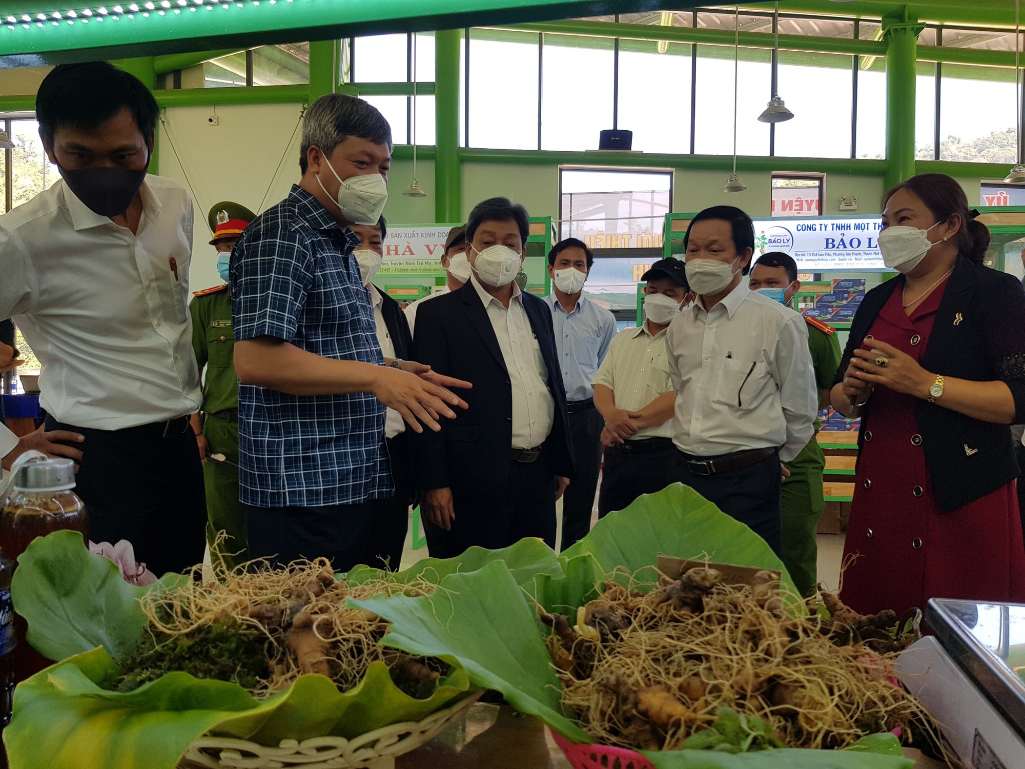 Quảng Nam: Huyện Nam Trà My chú trọng phát triển cây dược liệu, nhất là cây sâm Ngọc Linh - Ảnh 5.
