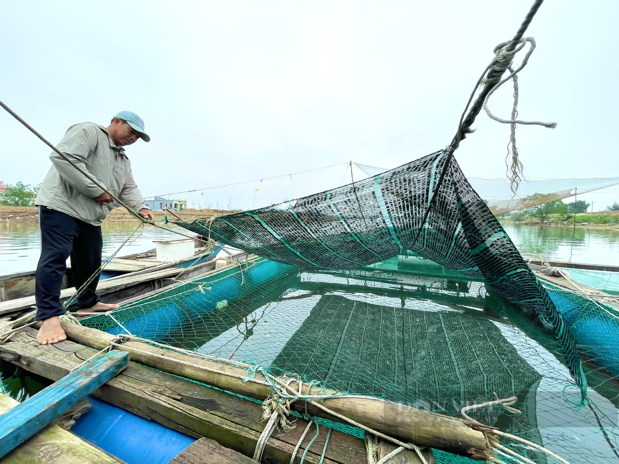Quảng Bình: Làng nghèo nằm giữa sông Gianh sống khá nhờ nuôi cá lồng - Ảnh 2.