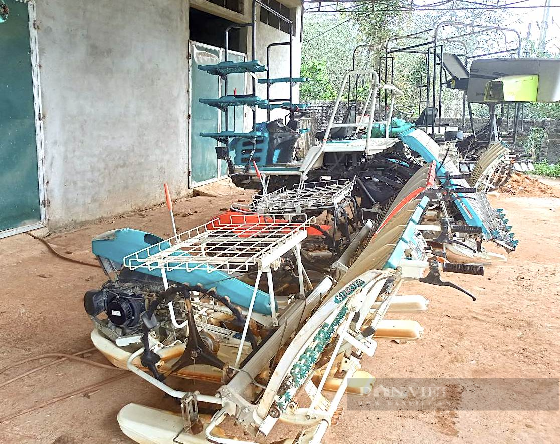 Đưa máy cấy vào nông nghiệp giúp vựa lúa Yên Thành (Nghệ An) tăng năng suất - Ảnh 2.