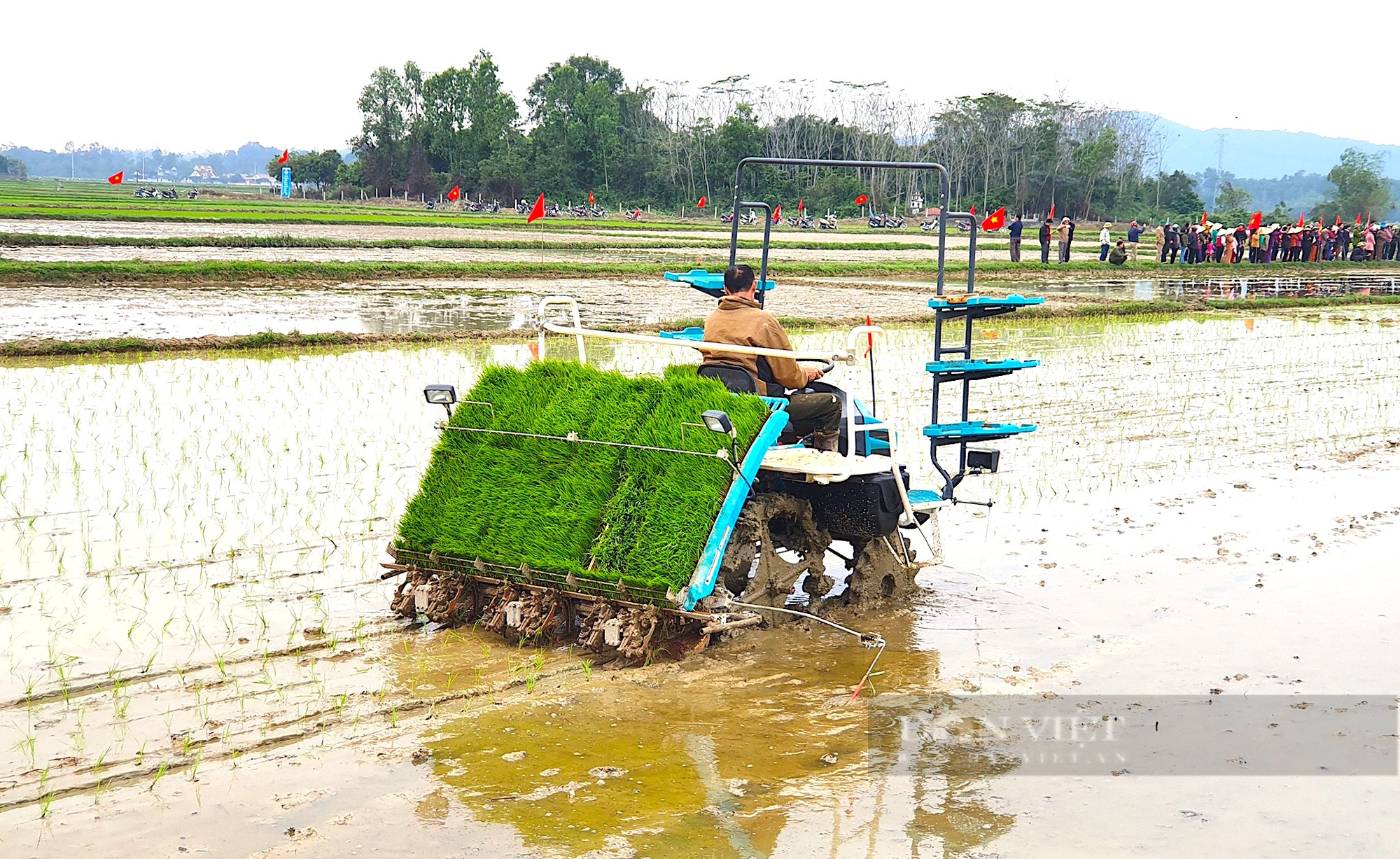 Đưa máy cấy vào nông nghiệp giúp vựa lúa Yên Thành (Nghệ An) tăng năng suất - Ảnh 1.