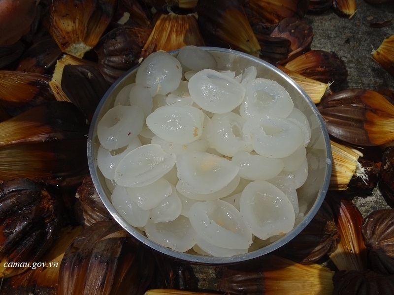 Lạ lùng trái dừa nước miền Tây  Tin nhanh chứng khoán