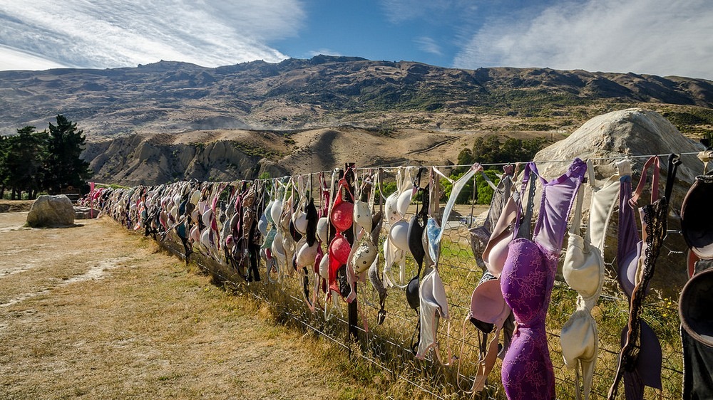 Hàng rào &quot;áo lót&quot; hút khách du lịch tại New Zealand - Ảnh 1.