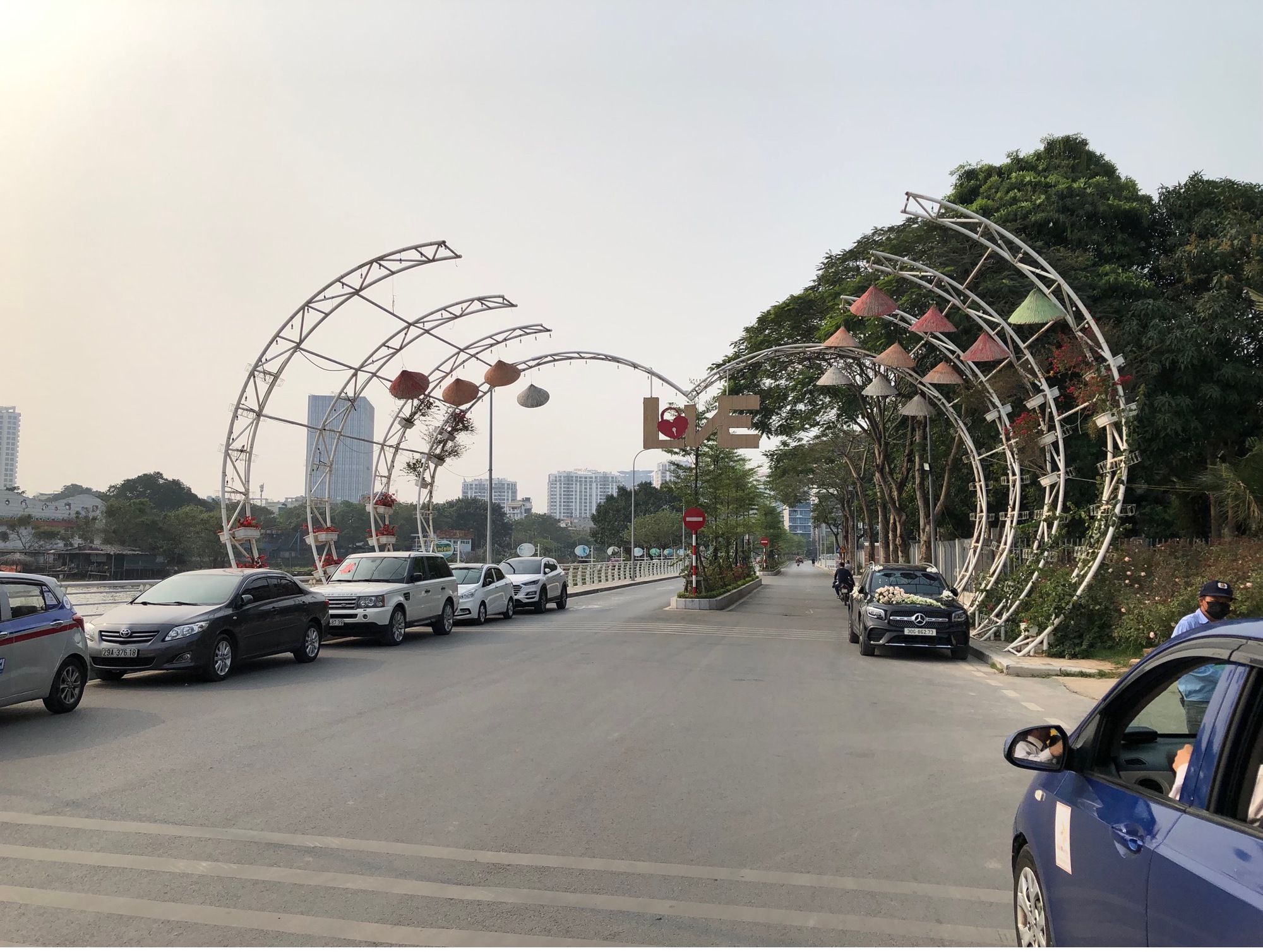 Hàng cây nhãn hơn 30 năm tuổi trên phố Trịnh Công Sơn được thay thế để tạo cảnh quan đô thị - Ảnh 5.