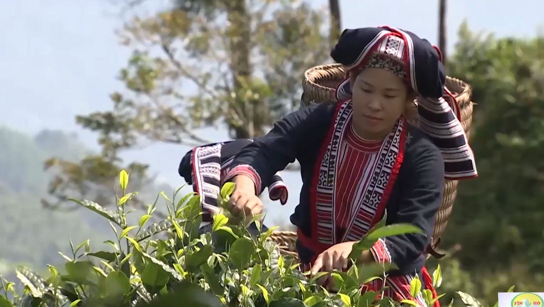 tỉnh Hà Giang giảm nghèo 