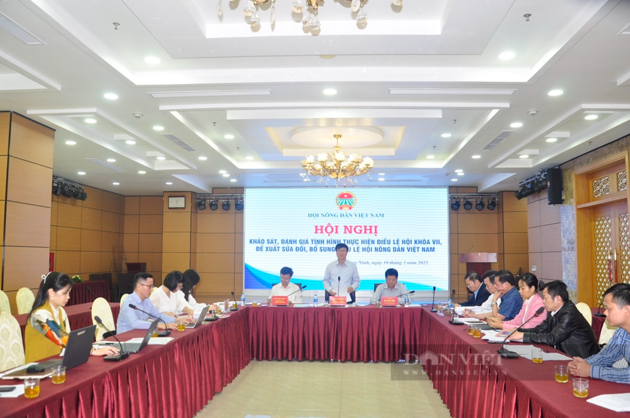 Quảng Ninh đề xuất chỉ thành lập UBKT Hội Nông dân đến cấp huyện - Ảnh 1.