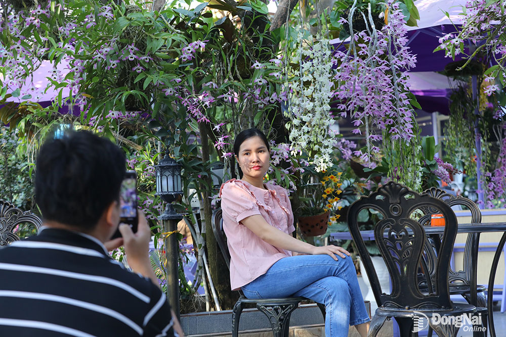 La liệt giò lan rừng thân thòng hoa tuôn như suối trong một quán cà phê đang hot ở Đồng Nai - Ảnh 2.