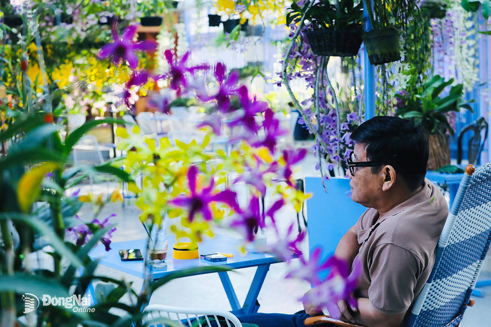 La liệt giò lan rừng thân thòng hoa tuôn như suối trong một quán cà phê đang hot ở Đồng Nai - Ảnh 3.
