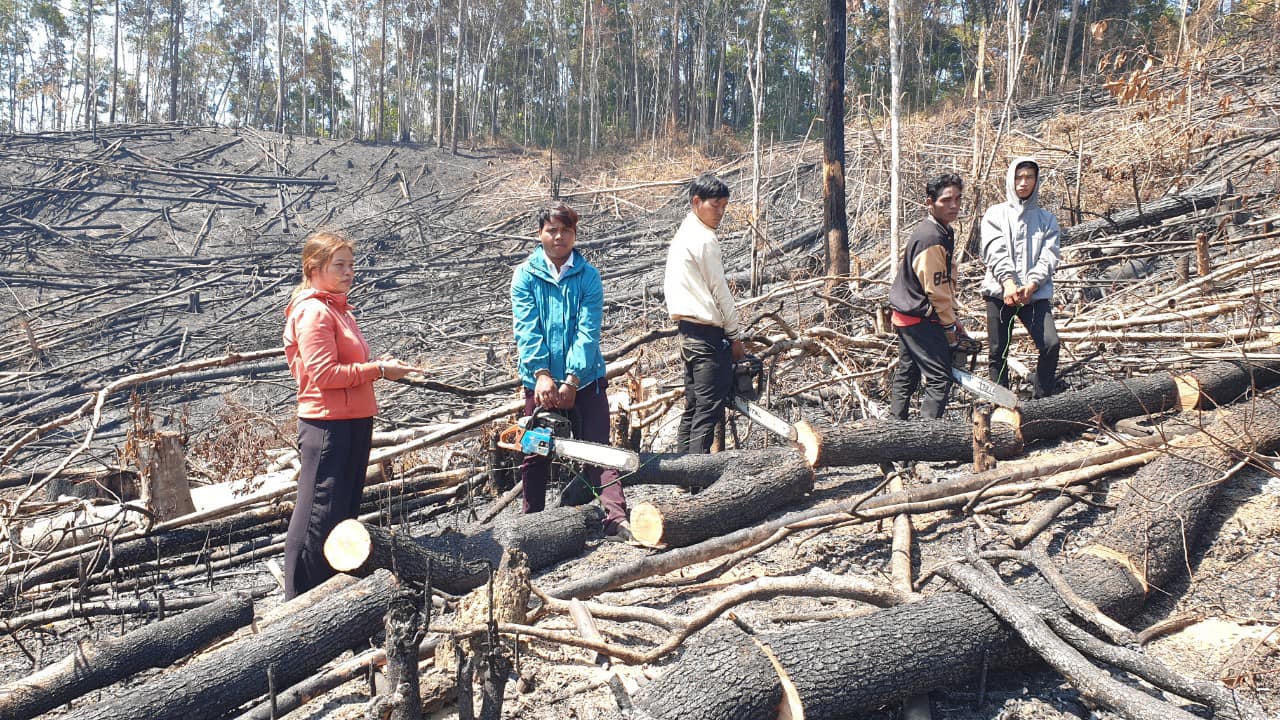 Vụ thuê 4 người phá rừng ở Lâm Đồng, mỗi ngày trả công 200.000 đồng - Ảnh 1.