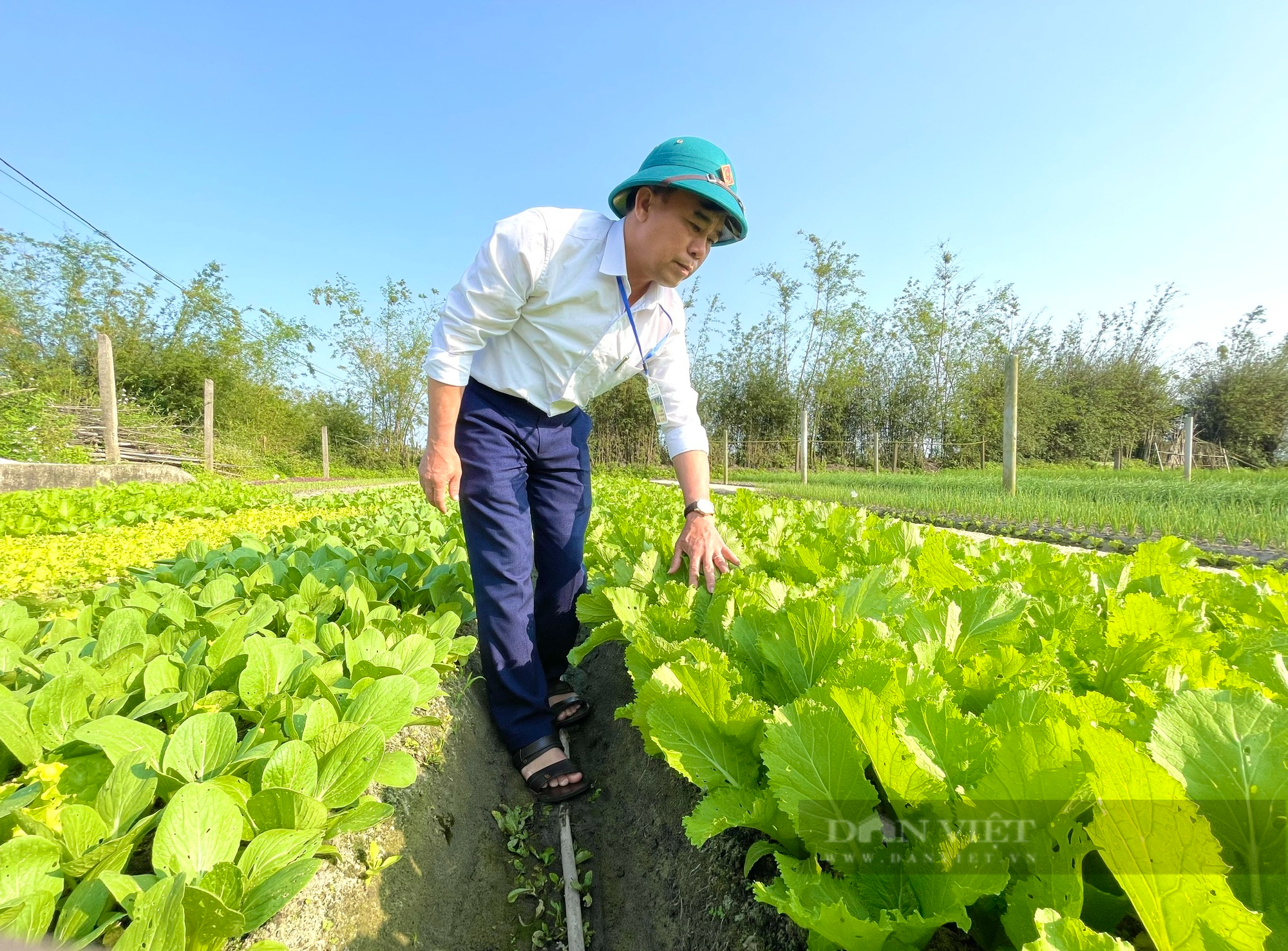 Nông dân vùng lũ Quảng Bình trồng rau sạch để ăn, để bán và làm du lịch trải nghiệm - Ảnh 5.