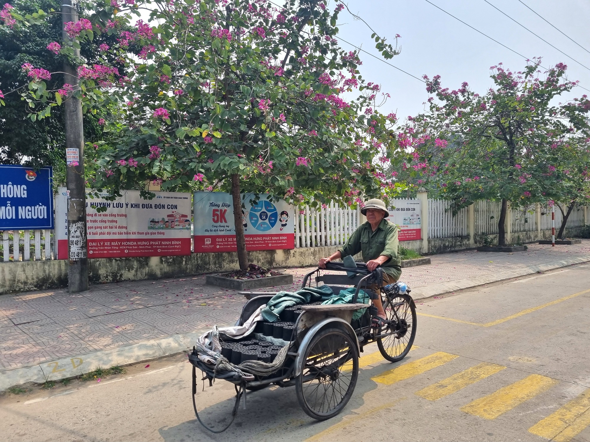 Ngỡ ngàng tuyến đường hoa ban nở rực ở xã nông thôn mới kiểu mẫu tại Ninh Bình - Ảnh 5.