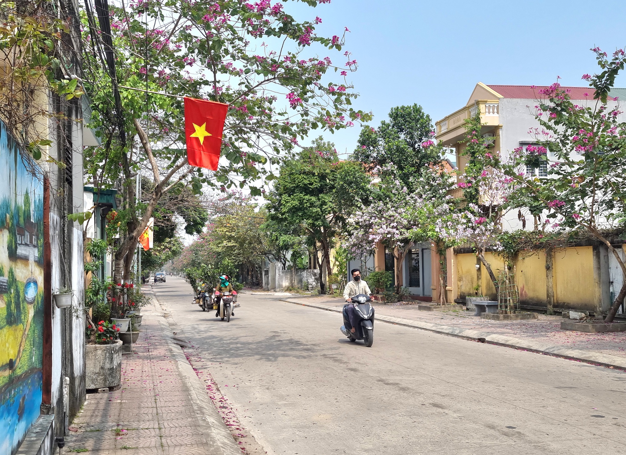 Ngỡ ngàng tuyến đường hoa ban nở rực ở xã nông thôn mới kiểu mẫu tại Ninh Bình - Ảnh 2.