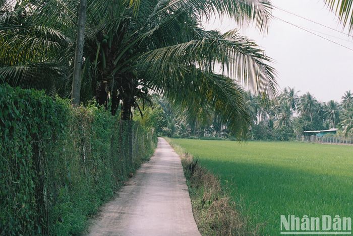 Nơi này ở Vĩnh Long là &quot;vương quốc&quot; của cây dừa, cây cỏ lác, còn vô số lò gạch cũ tuổi đời cả trăm năm - Ảnh 14.