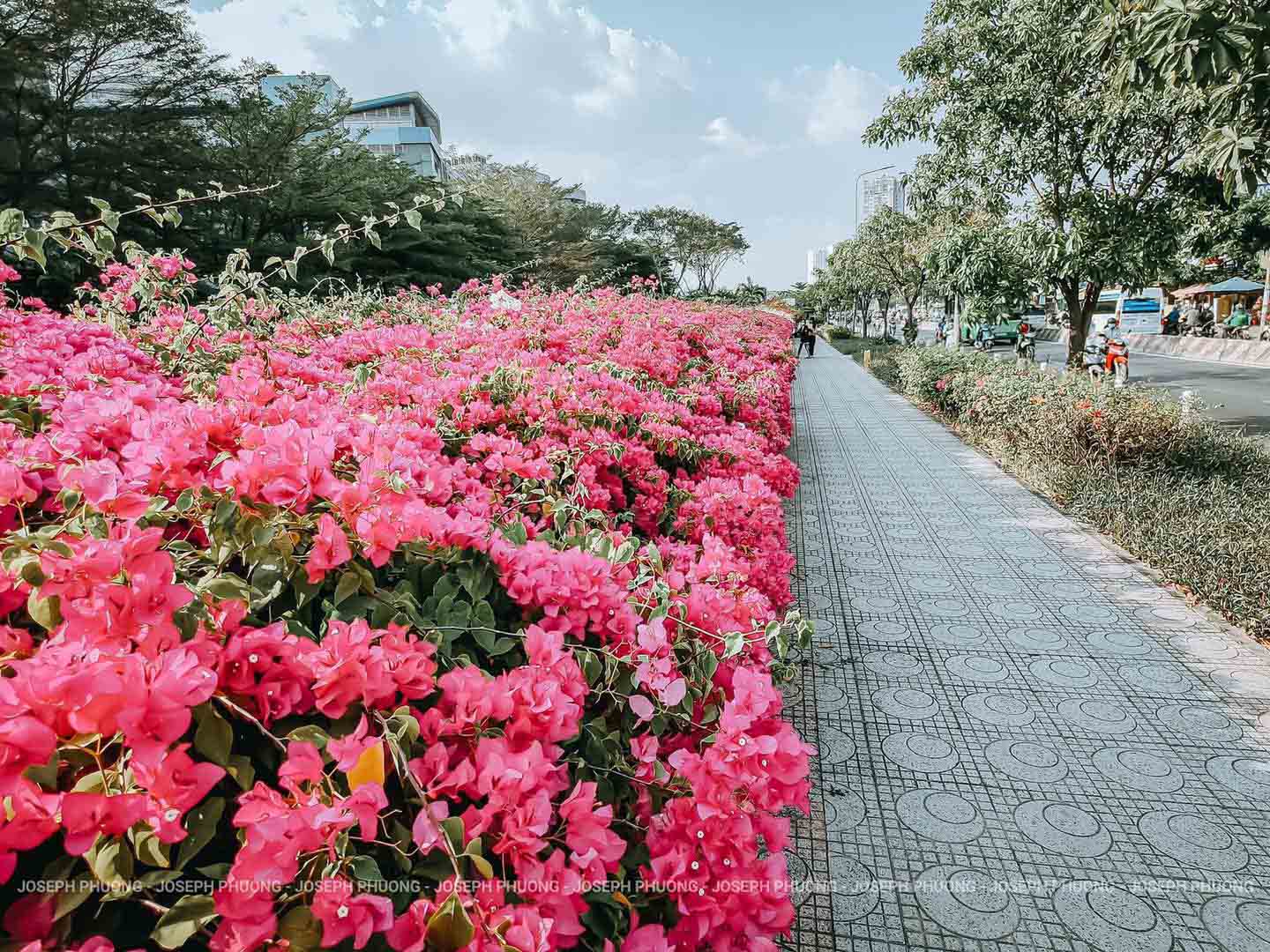 Những góc đường phủ kín hoa giấy, thu hút nhiều người chụp ảnh ở Sài Gòn - Ảnh 5.