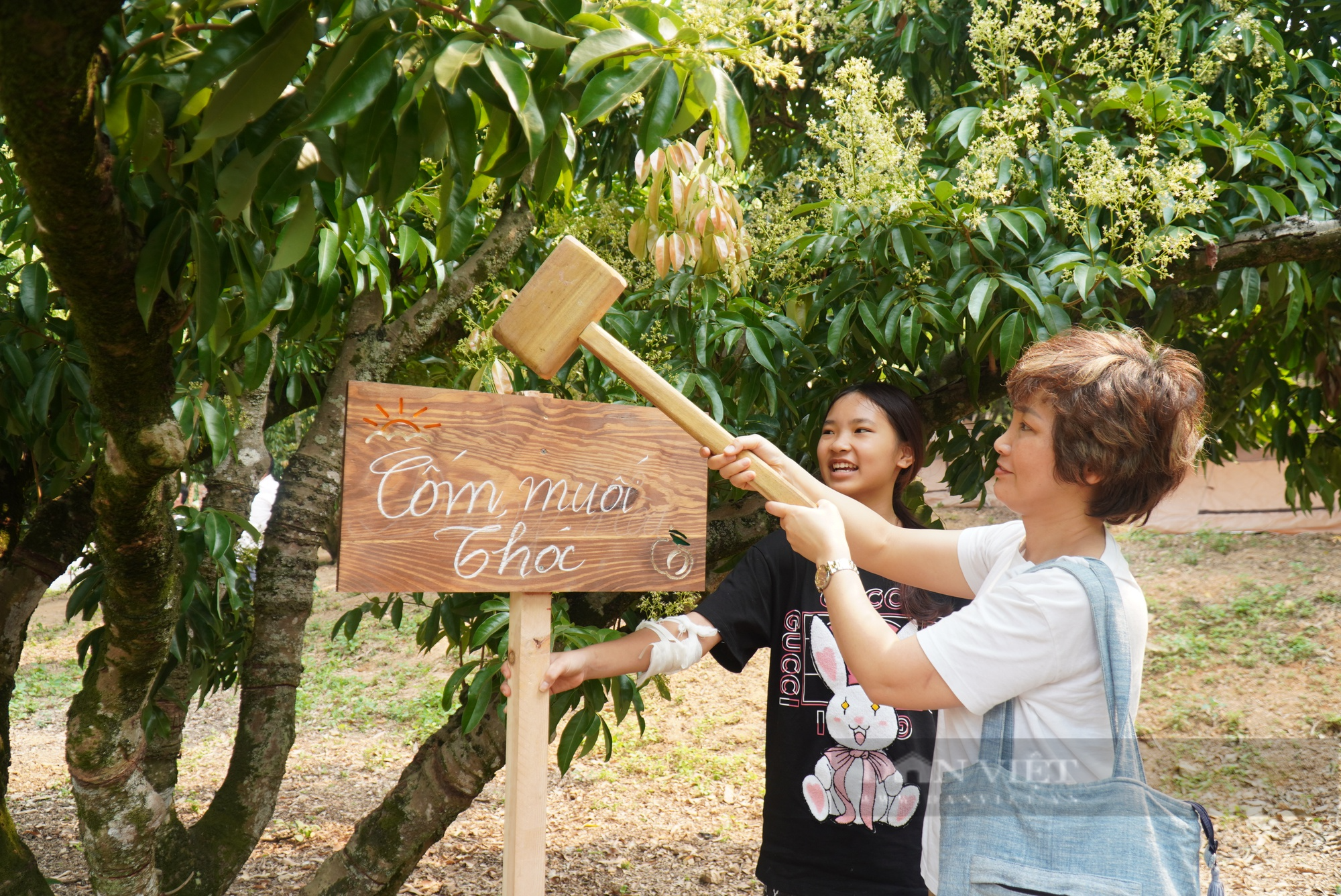 Trải nghiệm vườn vải thiều Global GAP đang nở rộ hoa, du khách thích thú chọn cây để đóng cọc sở hữu - Ảnh 4.