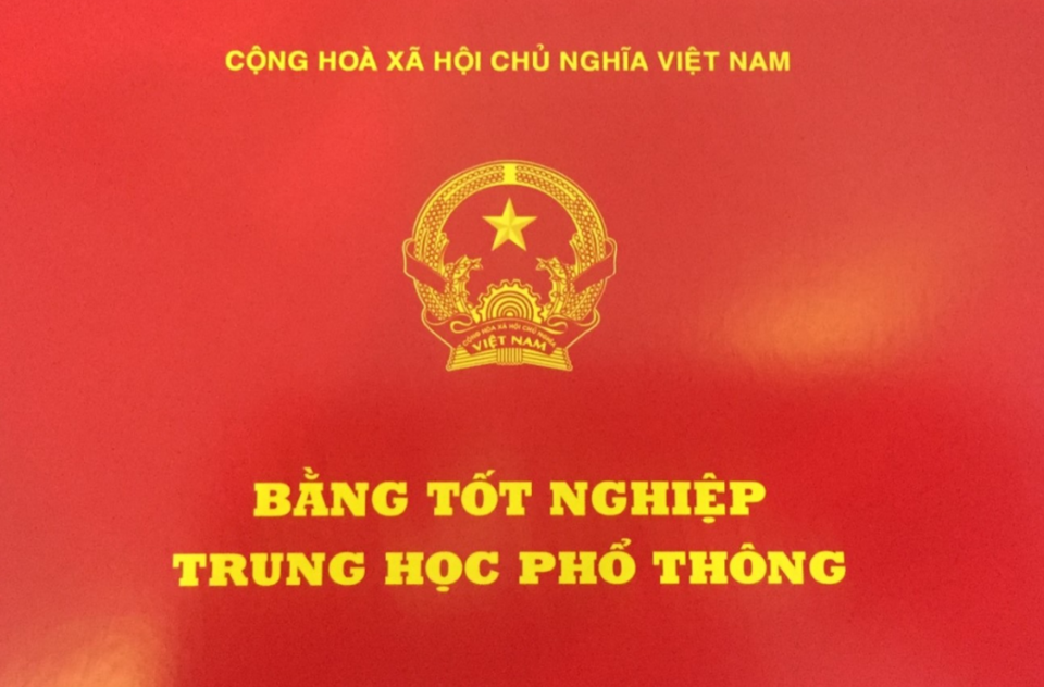 Một hiệu trưởng và một giám đốc ở Hà Nội bị thu hồi bằng tốt nghiệp vì gian lận thi cử  - Ảnh 1.