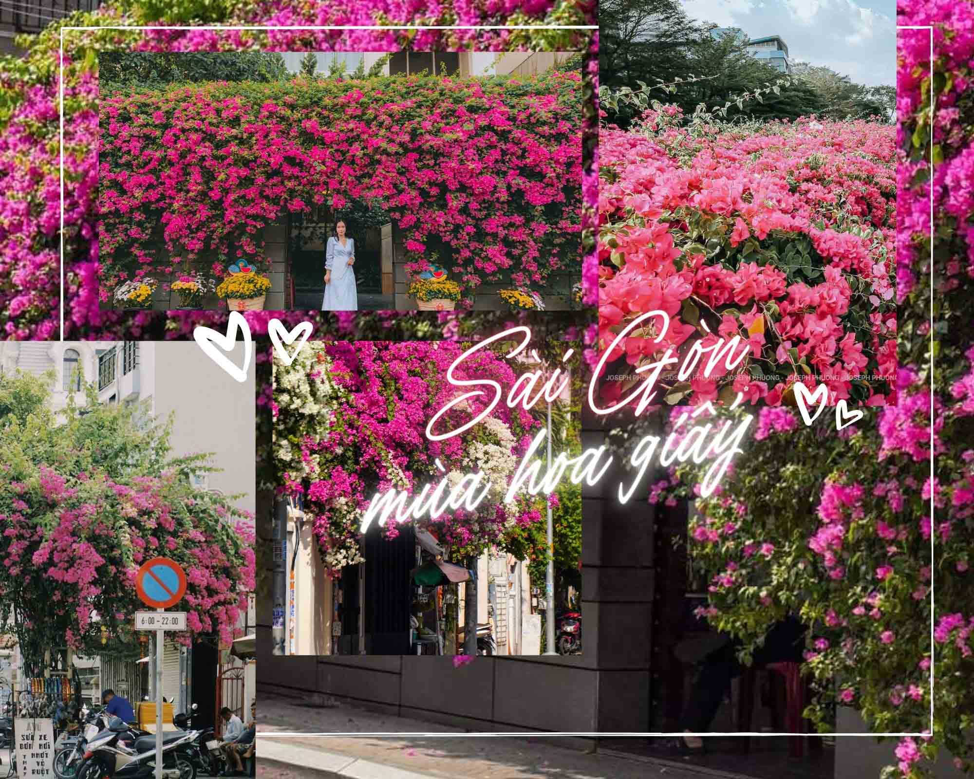 Những góc đường phủ kín hoa giấy, thu hút nhiều người chụp ảnh ở Sài Gòn - Ảnh 1.