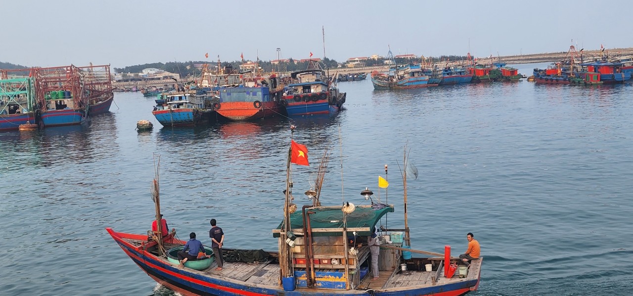 Nhịp sống an bình trên đảo Bạch Long Vỹ, Hải Phòng - Ảnh 1.