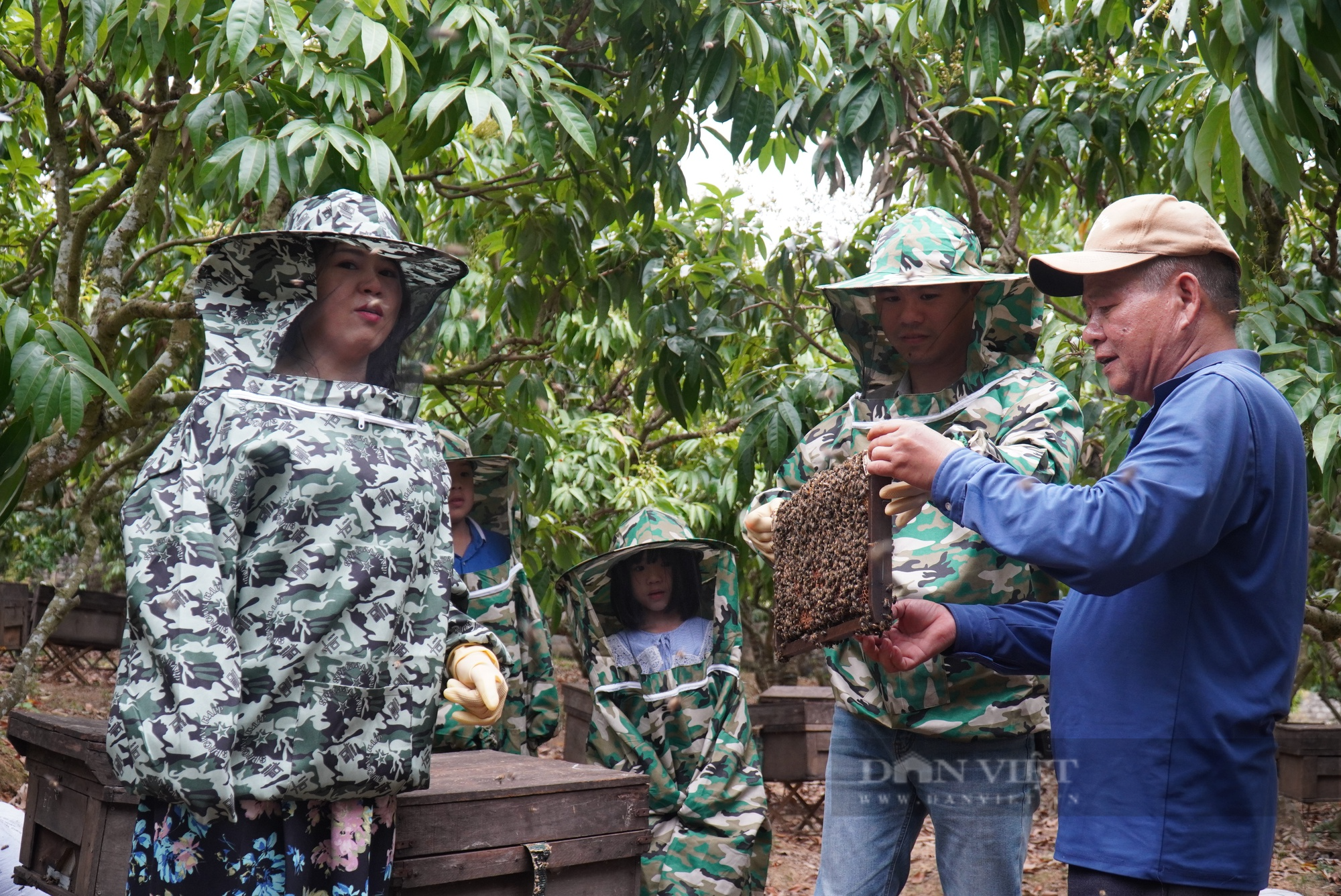 Trải nghiệm mùa hoa vải thiều ở Bắc Giang, du khách sở hữu ngay gốc vải yêu thích - Ảnh 7.