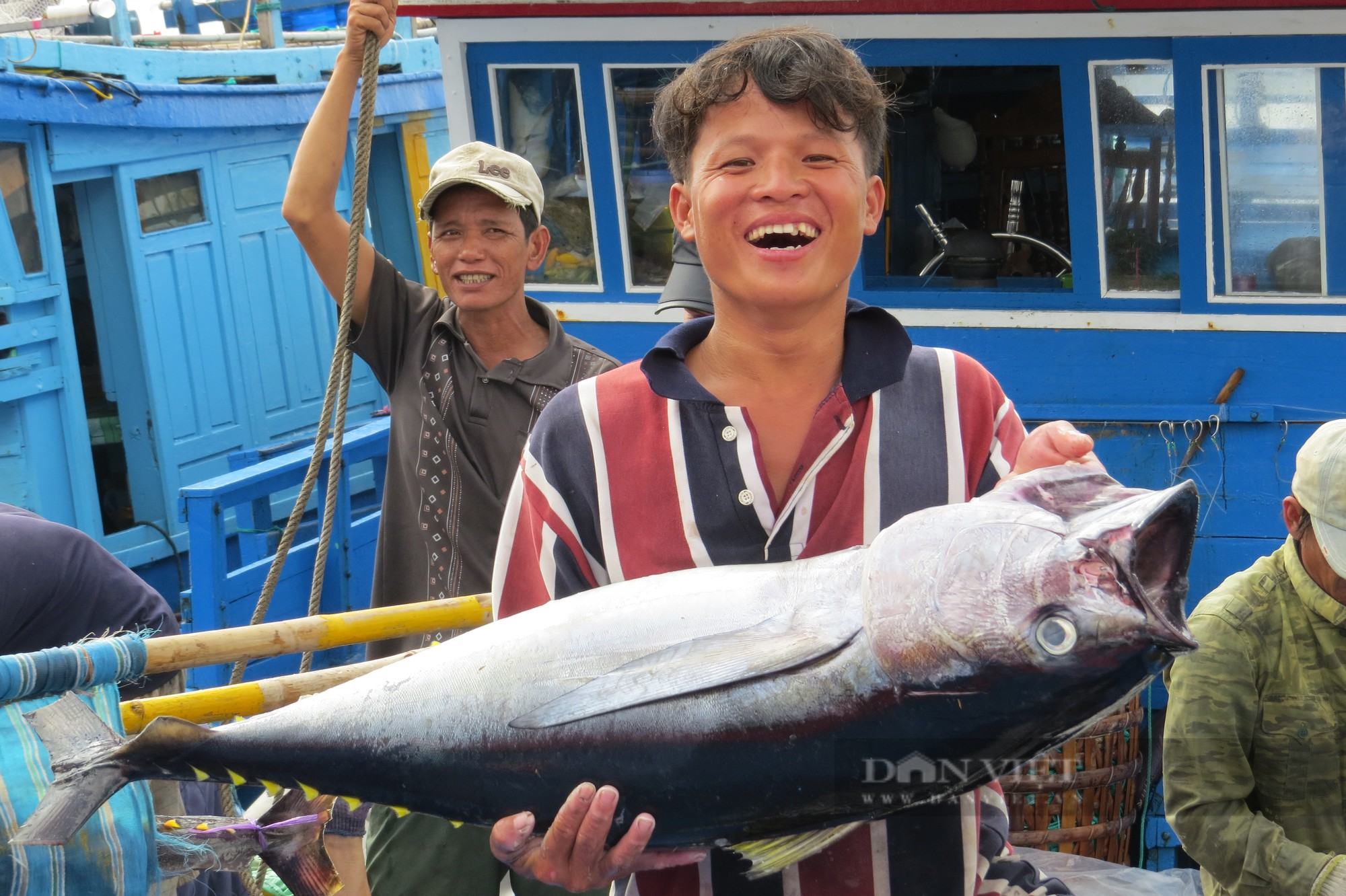 Không có tàu cá Phú Yên vi phạm vùng biển nước ngoài trong 4 năm qua - Ảnh 1.